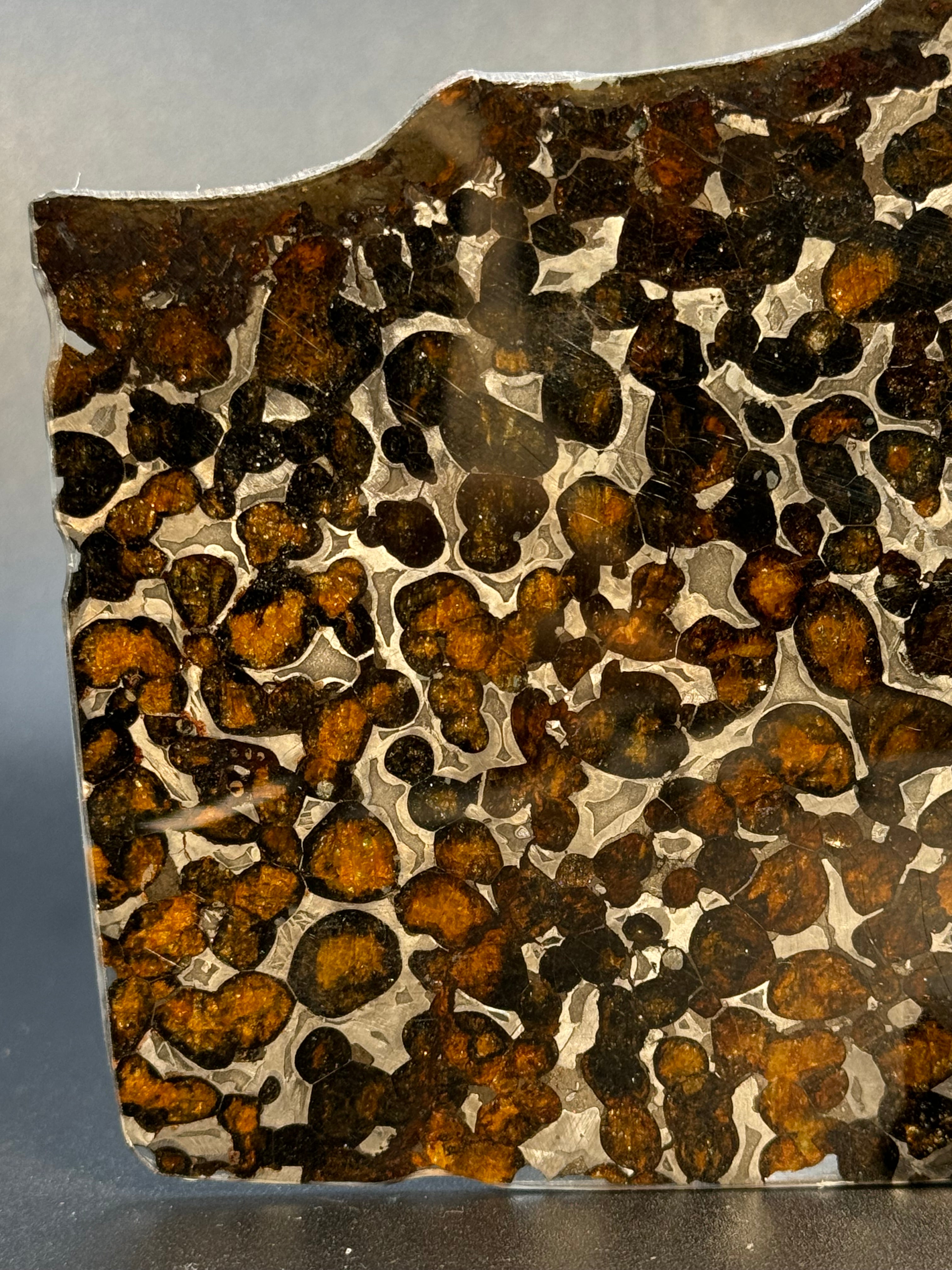 SERICHO METEORITE, KENYA. 66 GRAMS SLICE