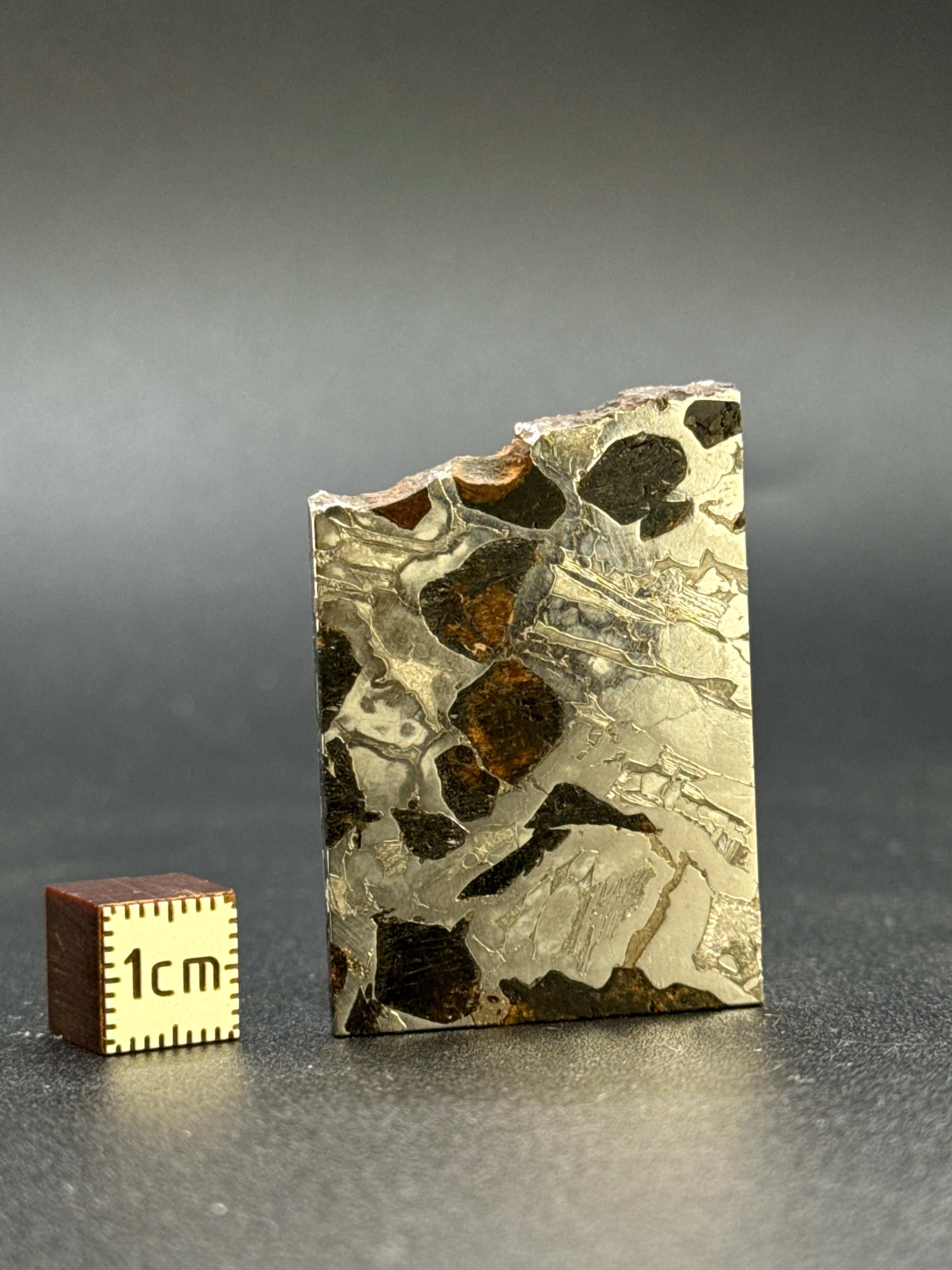 SEYMCHAN METEORITE, MAGADAN REGION, RUSSIA. 16,5 GRAMS.
