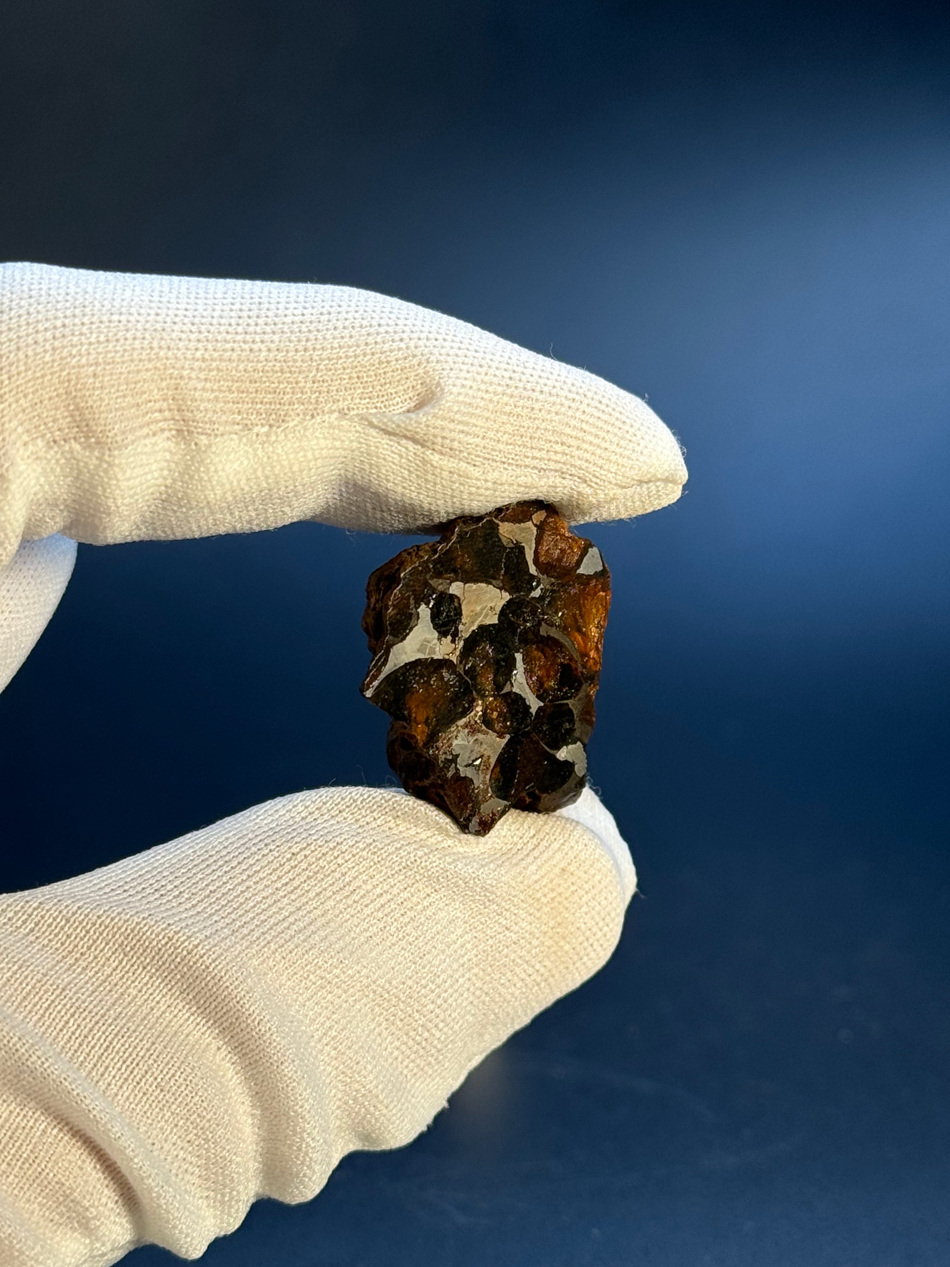 SERICHO PALLASITE METEORITE, KENYA. 11,40 GRAMS END-CUT