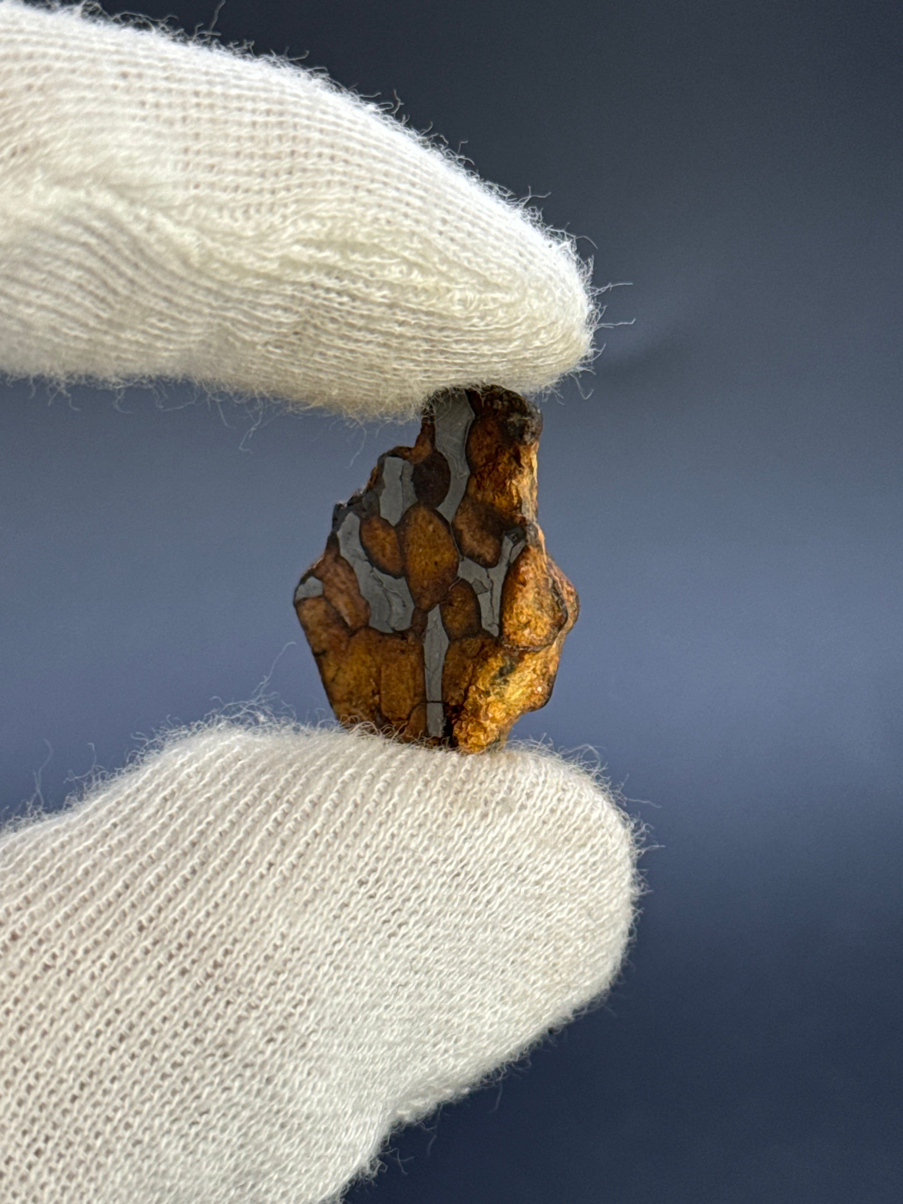 SERICHO PALLASITE METEORITE, KENYA. 14,8 GRAMS END-CUT.
