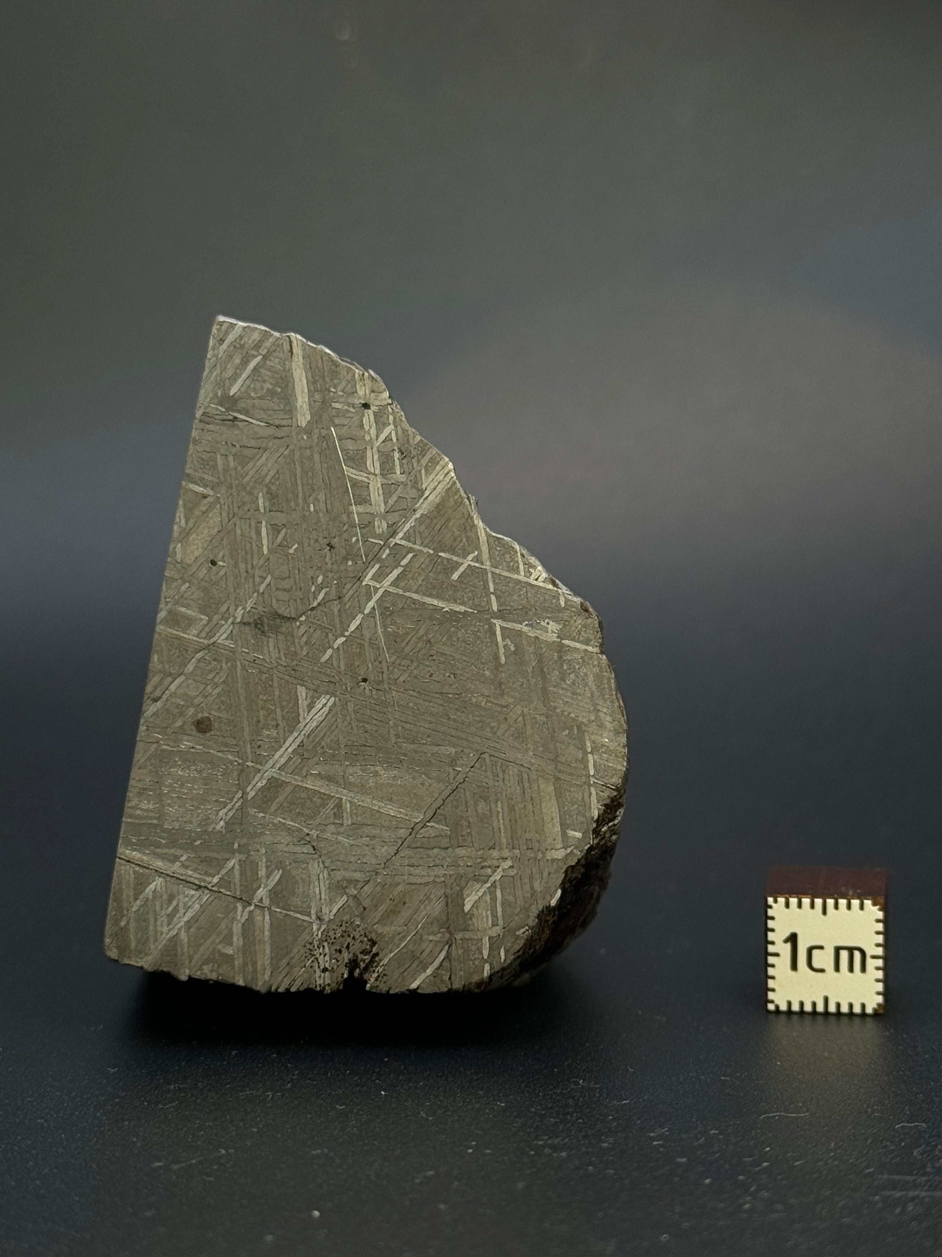 MUONIONALUSTA METEORITE, SWEDEN. 487 GRAMS END-CUT.