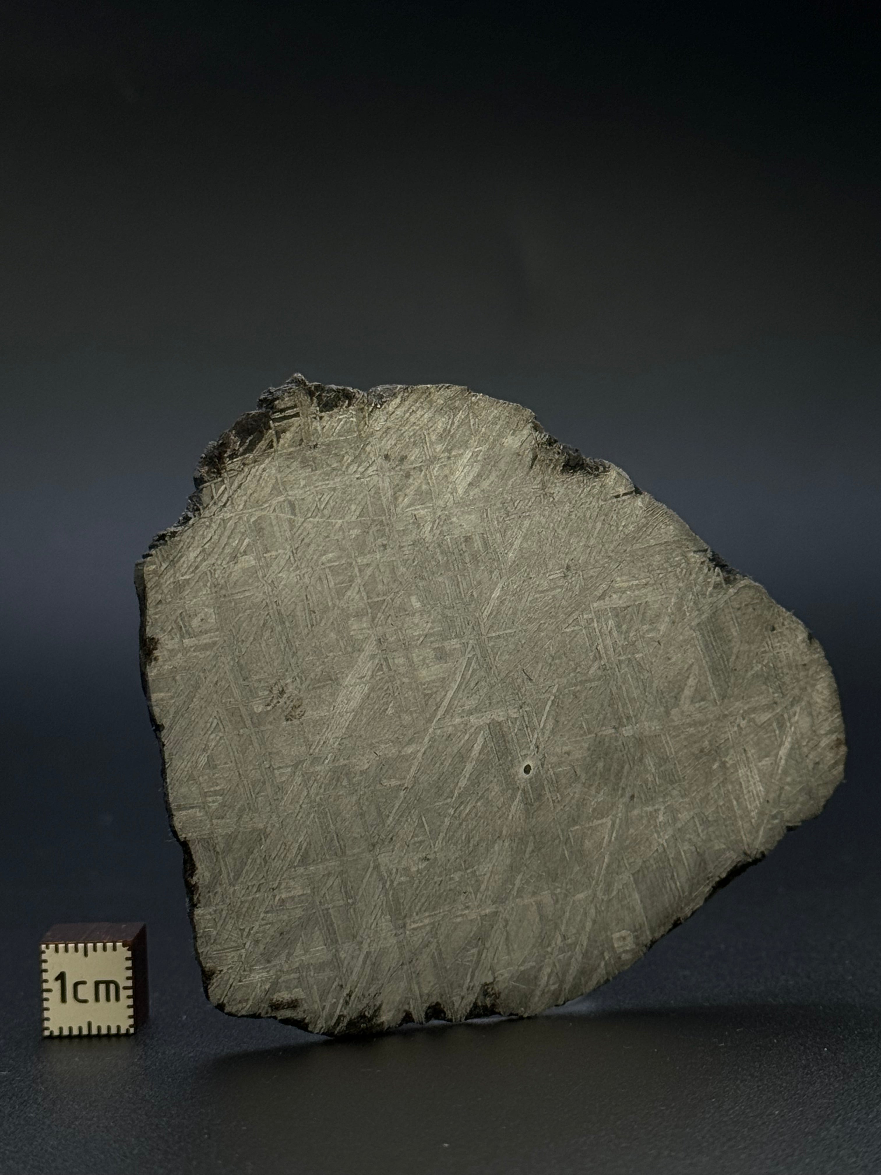 MUONIONALUSTA METEORITE, SWEDEN. 92,42 GRAMS.