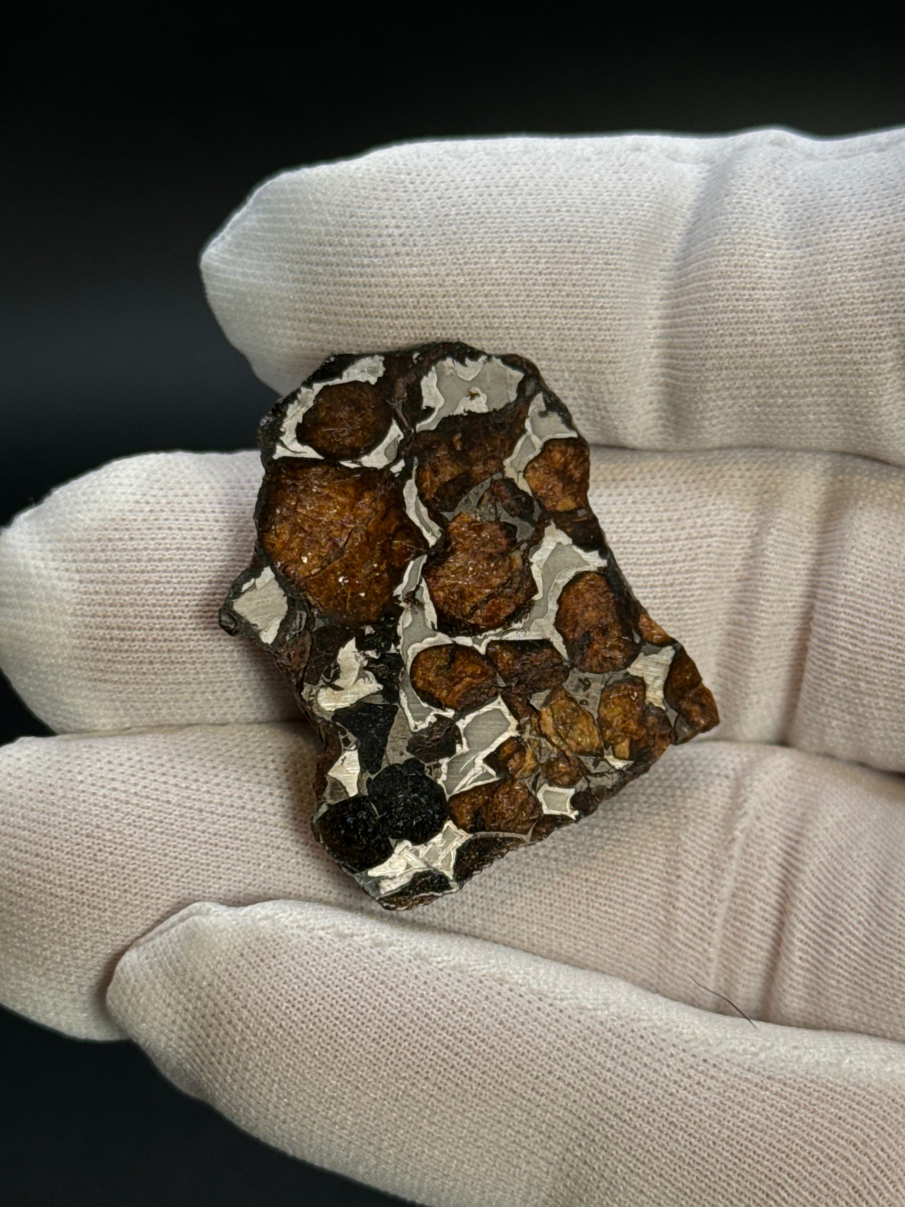 SERICHO PALLASITE METEORITE, KENYA. 15,28 GRAMS END-CUT