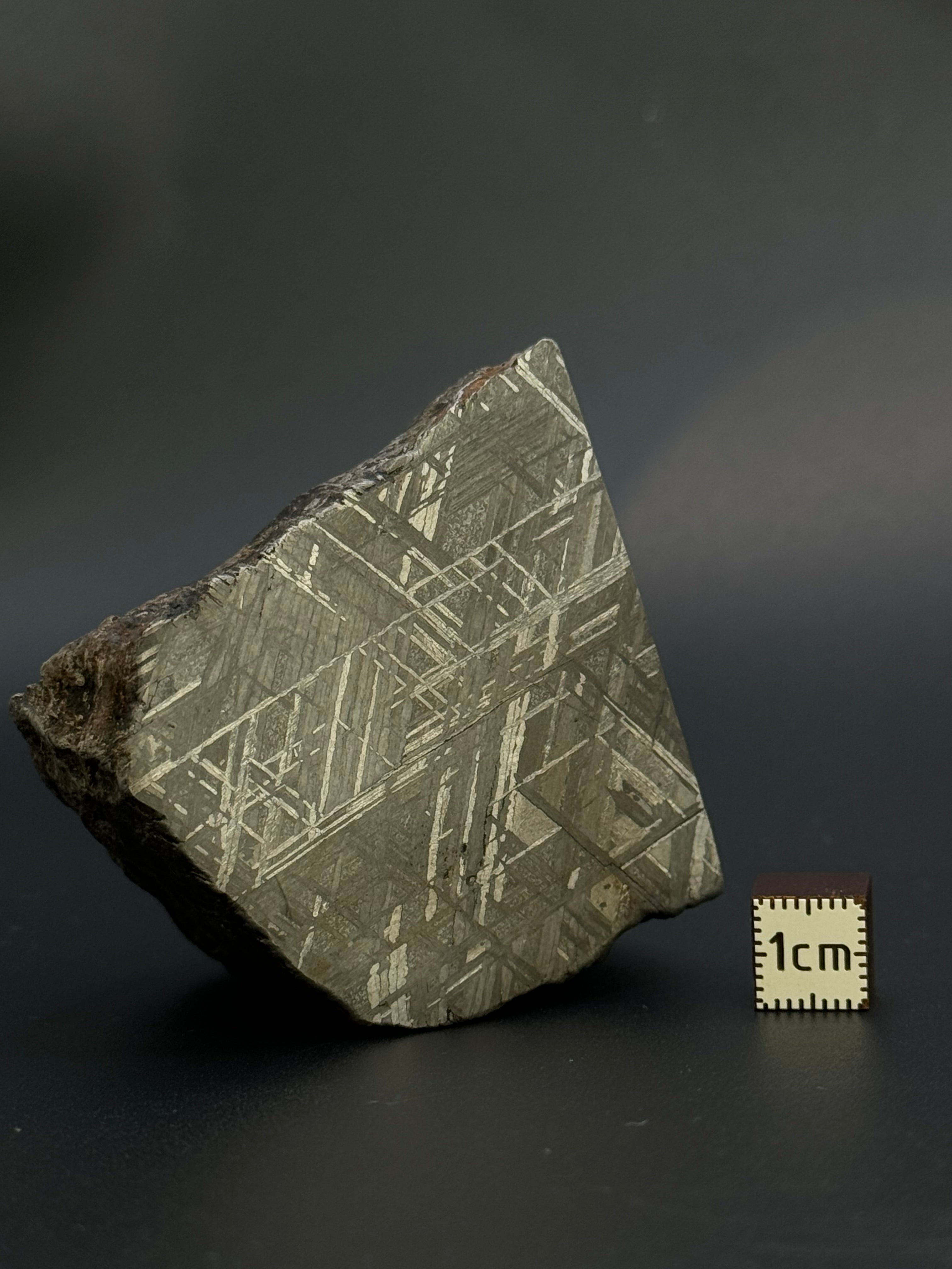 MUONIONALUSTA METEORITE, SWEDEN. 487 GRAMS END-CUT.
