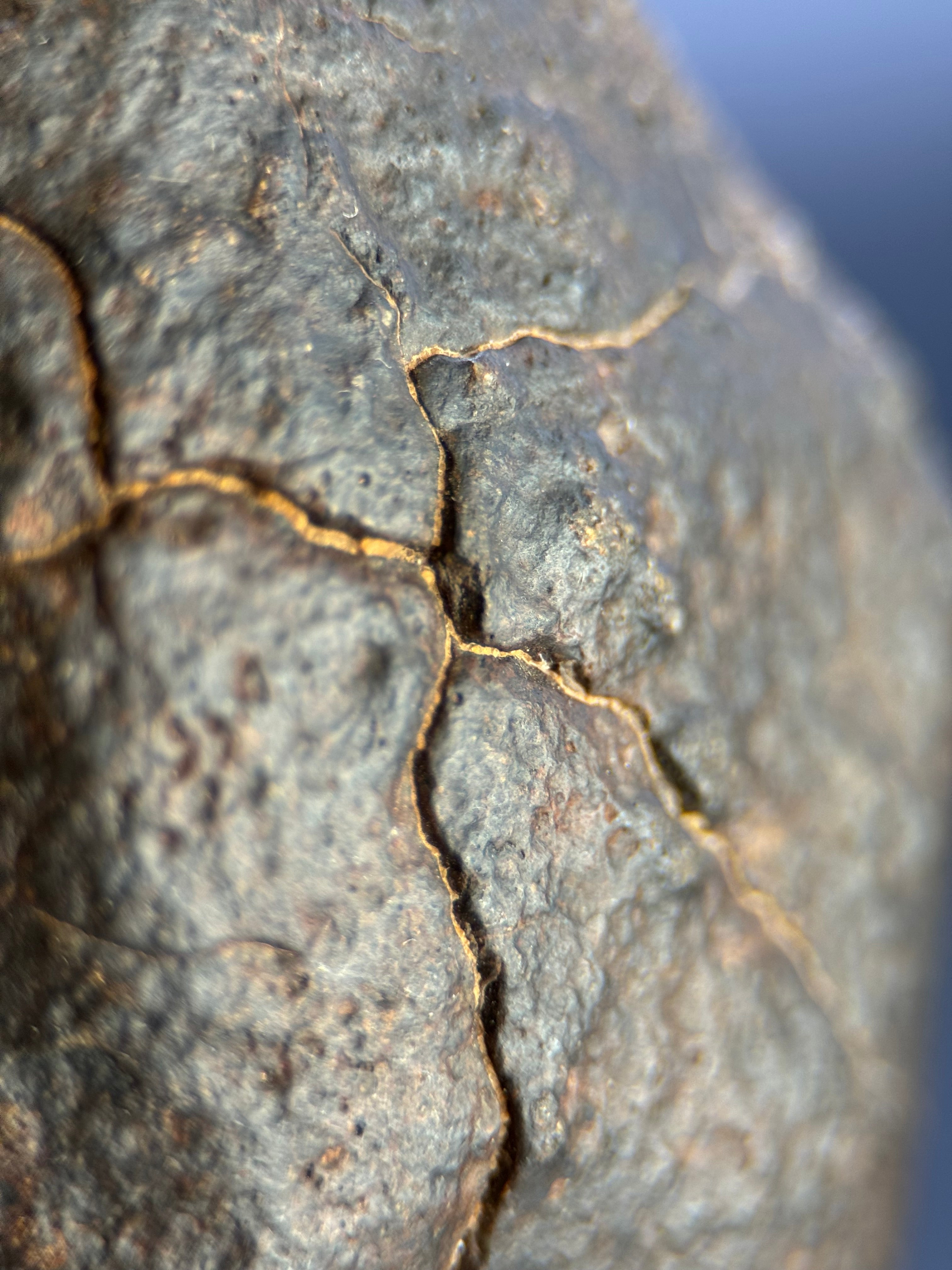 CHONDRITE METEORITE, NORTH WEST AFRICA. 352 GRAMS.