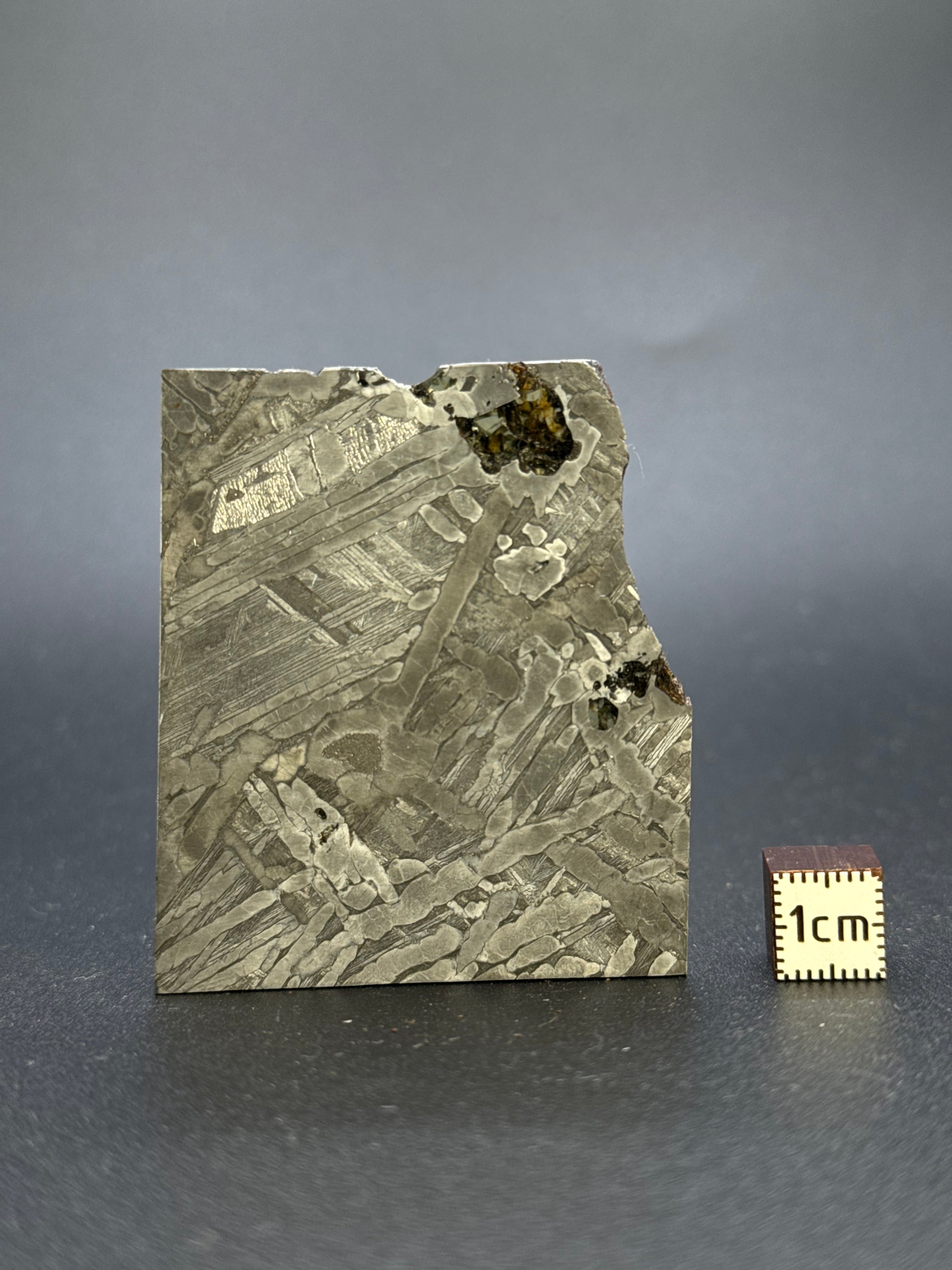 SEYMCHAN METEORITE, MAGADAN REGION, RUSSIA. 31,3 GRAMS.