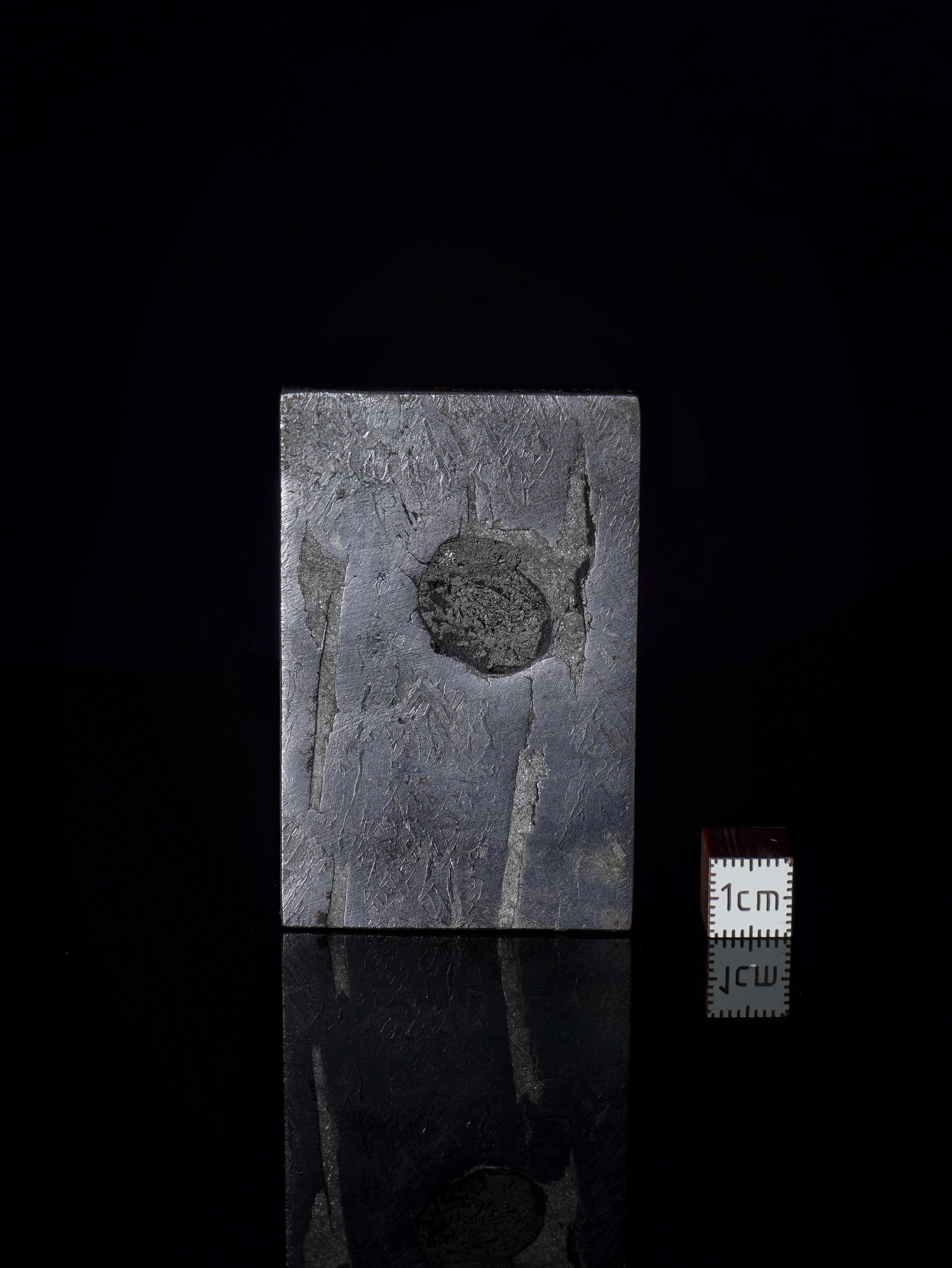 Aletai meteorite, Gobi Desert, China. 87,75 grams.