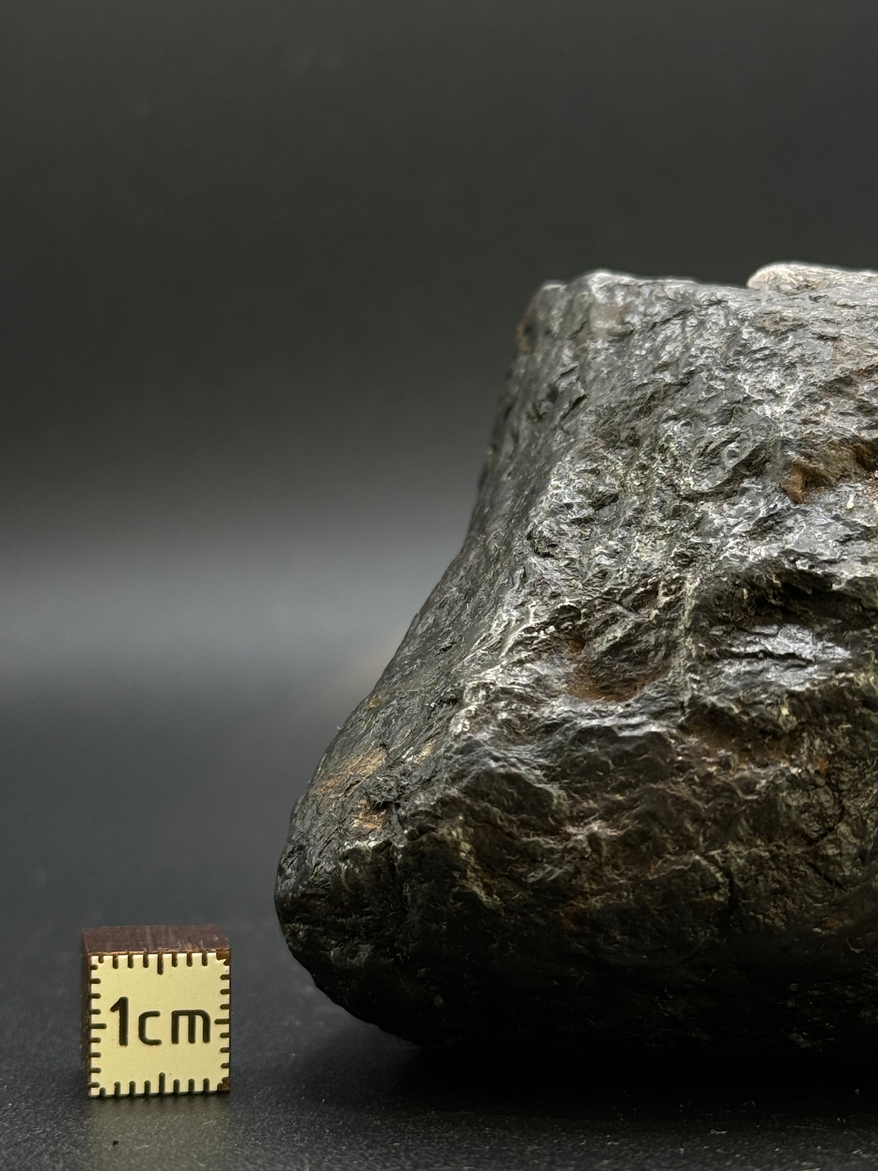 MUONIONALUSTA METEORITE, SWEDEN. FULL METEORITE 843 GRAMS.