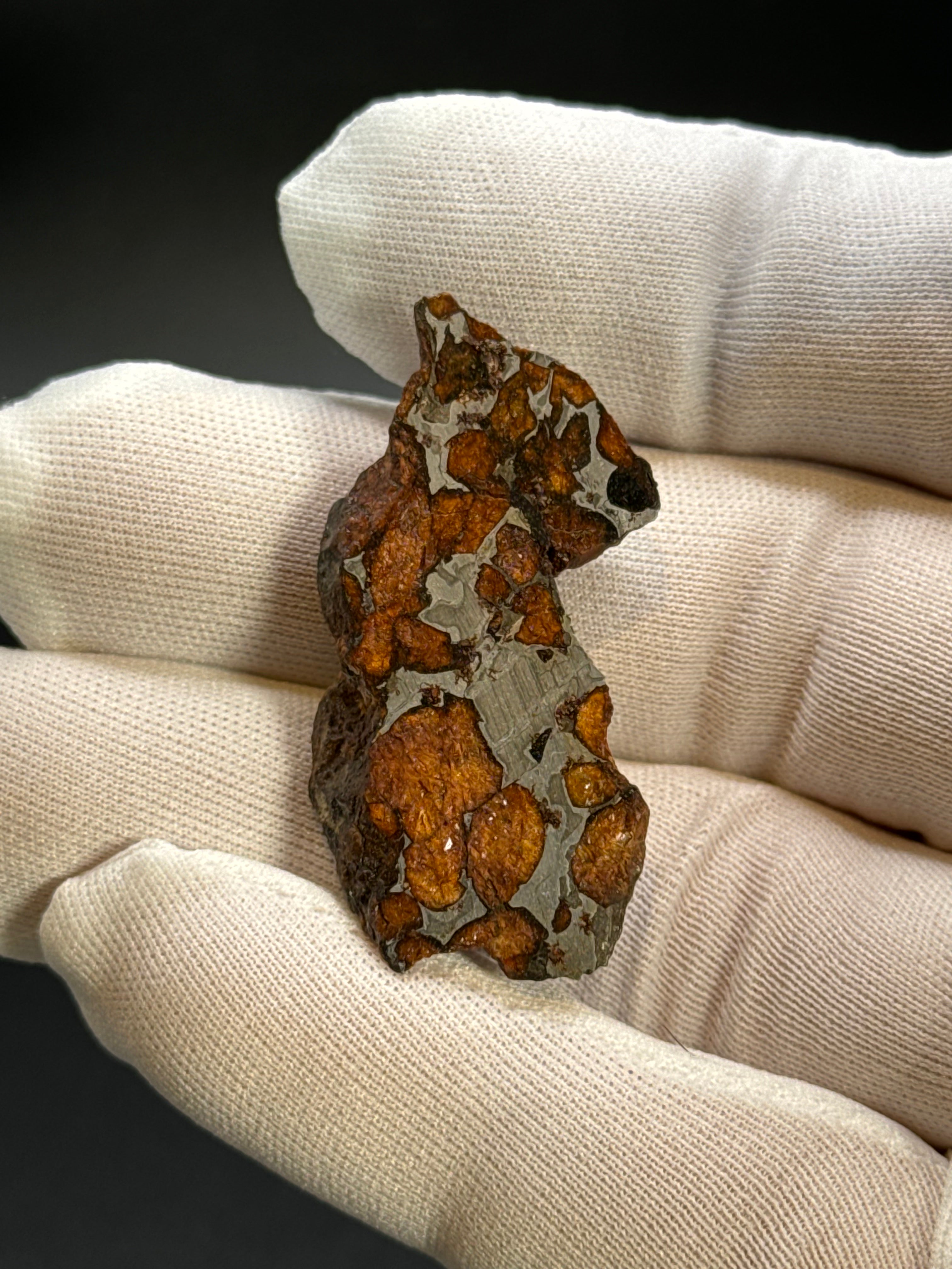 SERICHO PALLASITE METEORITE, KENYA. 15,07 GRAMS END-CUT