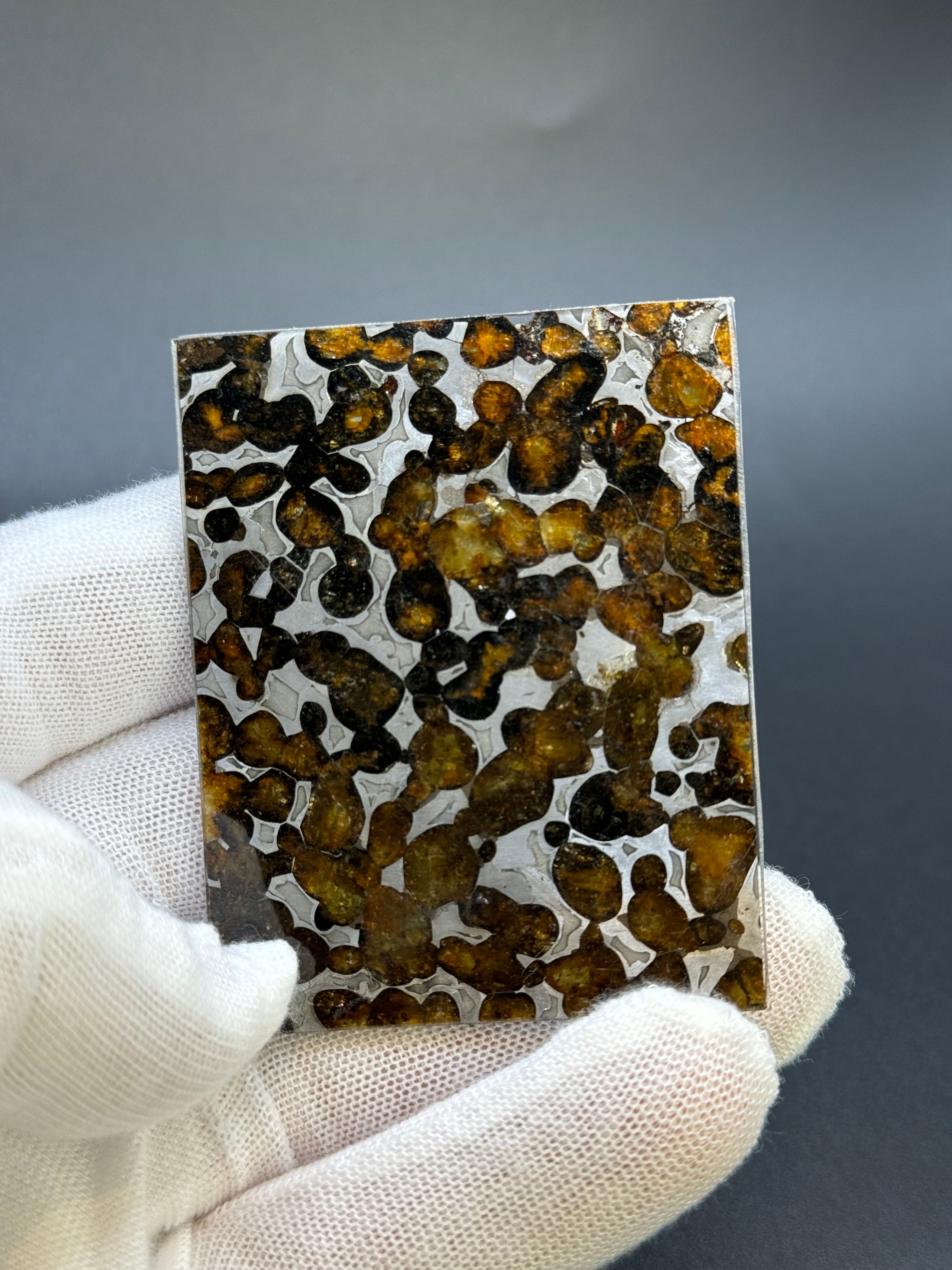SERICHO METEORITE, KENYA. 26,10 GRAMS SLICE