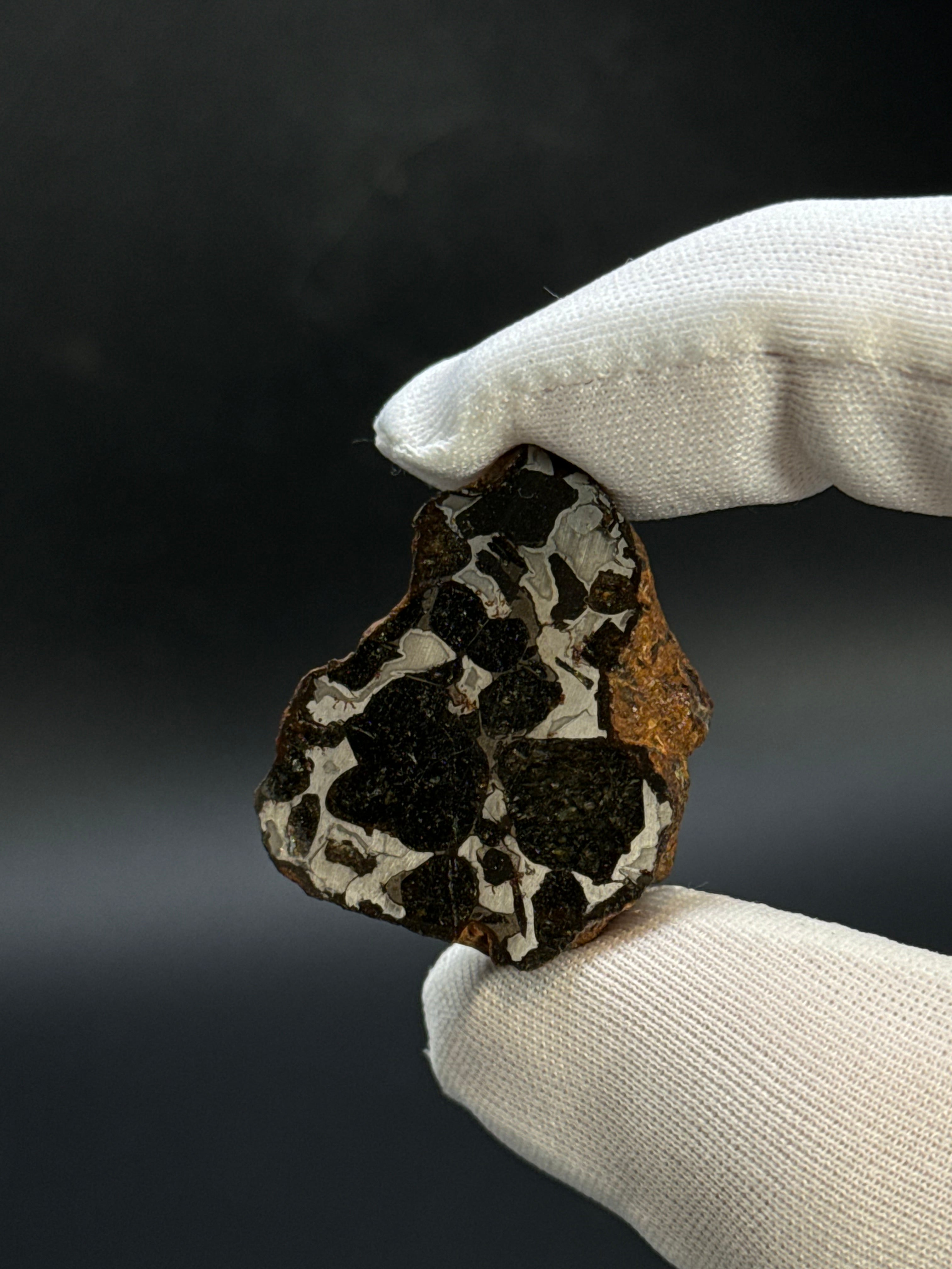 SERICHO PALLASITE METEORITE, KENYA. 21,79 GRAMS END-CUT