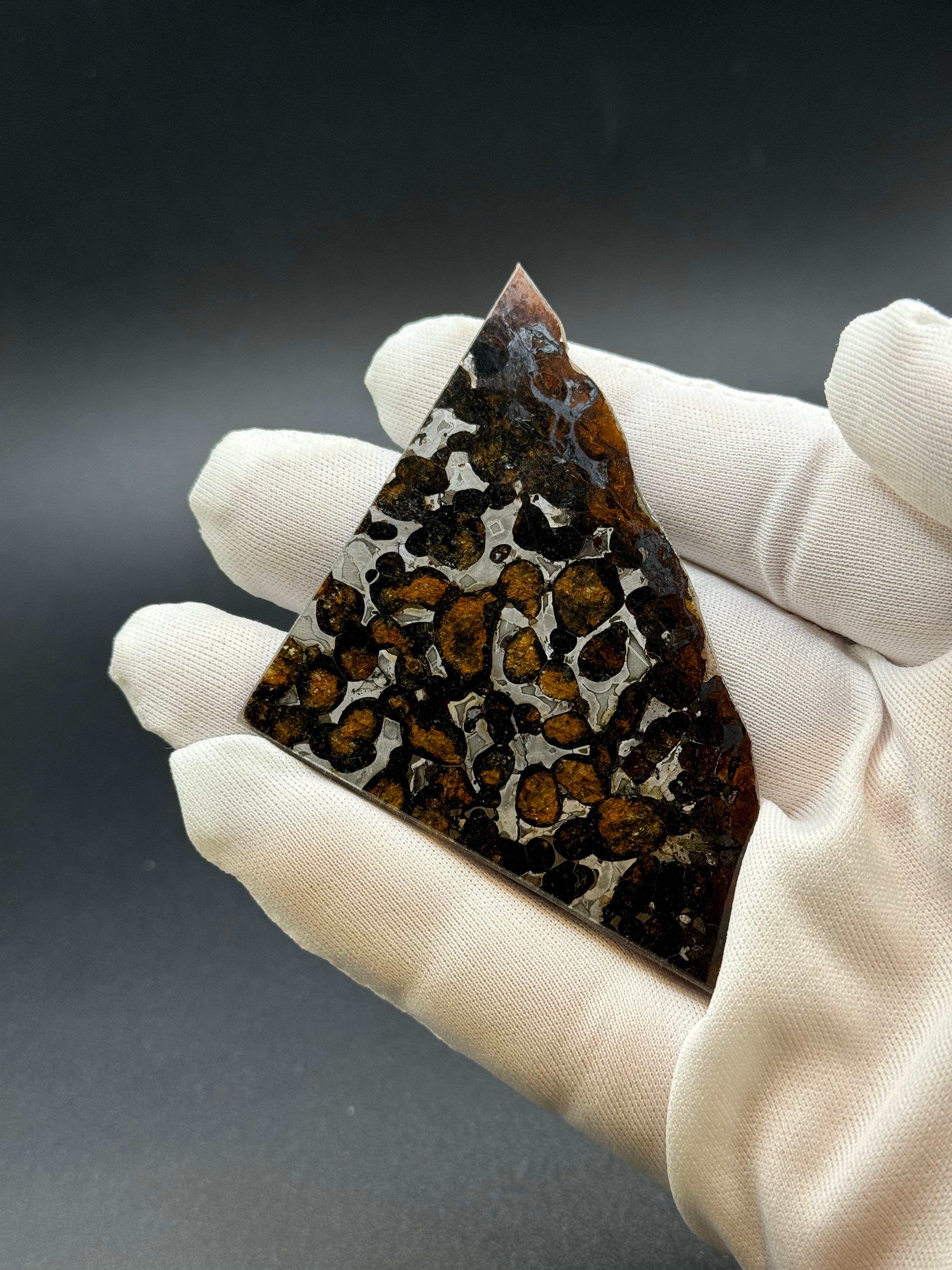 SERICHO METEORITE, KENYA. 16,3 GRAMS.