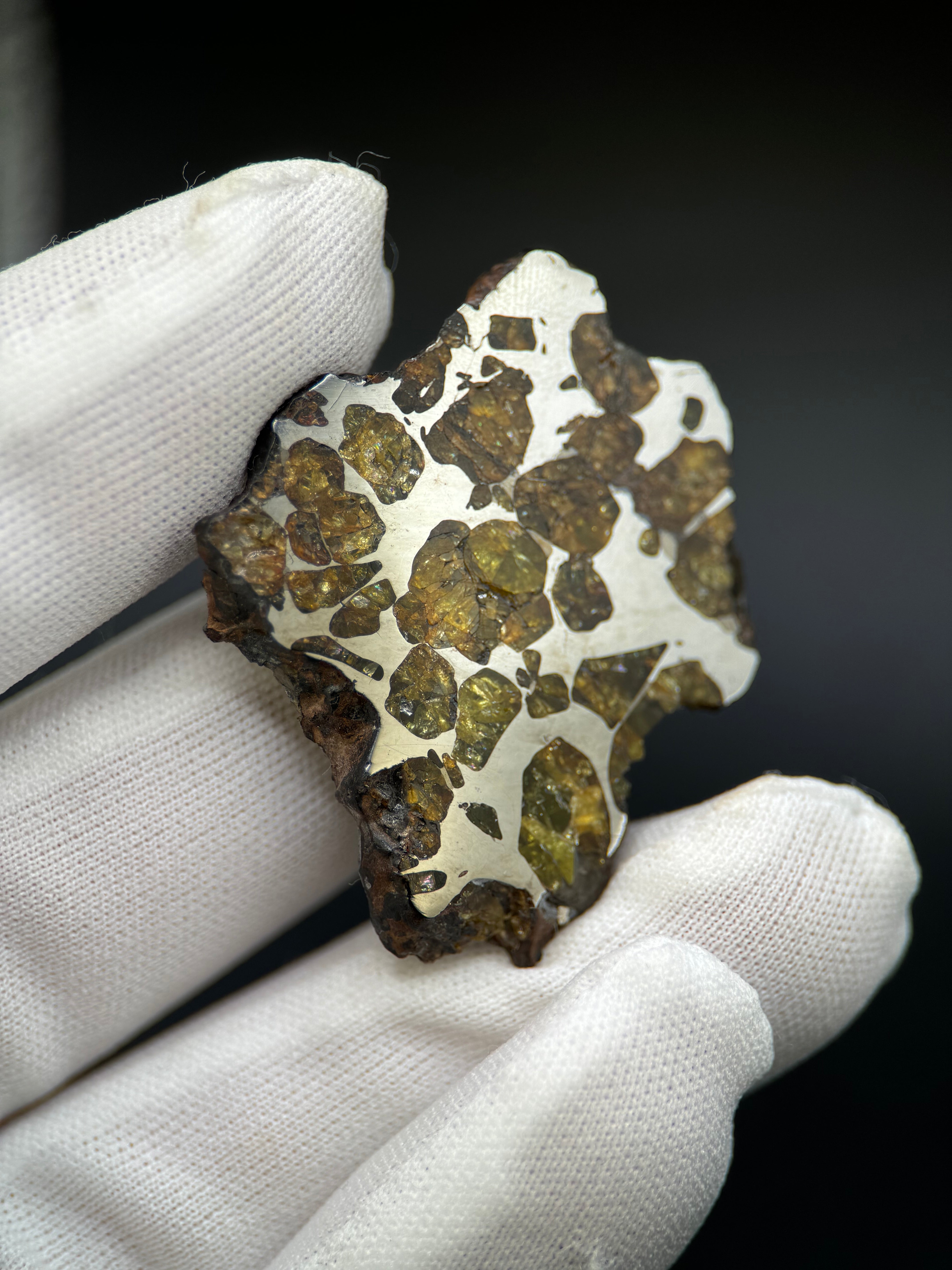 IMILAC PALLASITE METEORITE, CHILE. 15,06 GRAMS slice