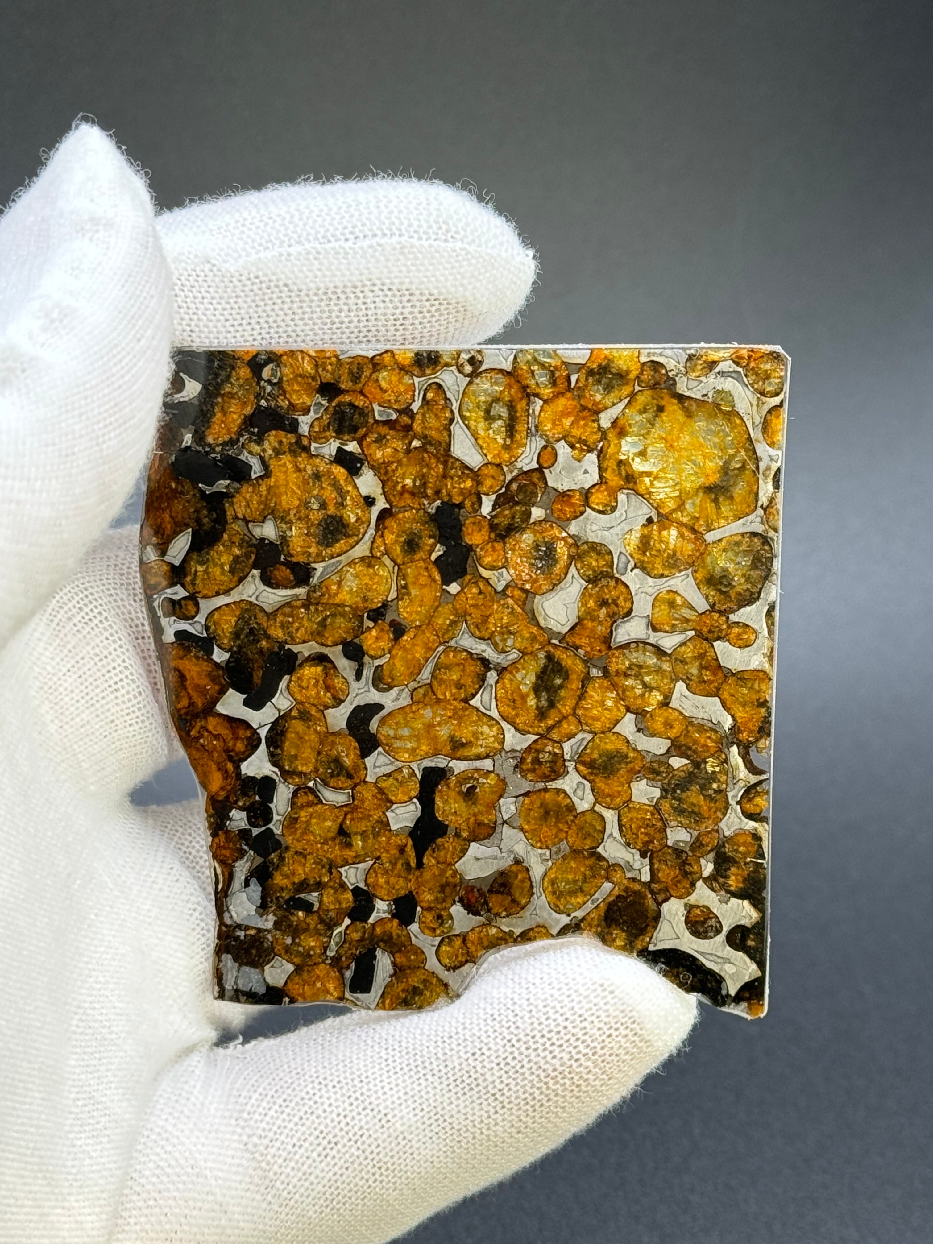 SERICHO METEORITE, KENYA. 19 GRAMS SLICE