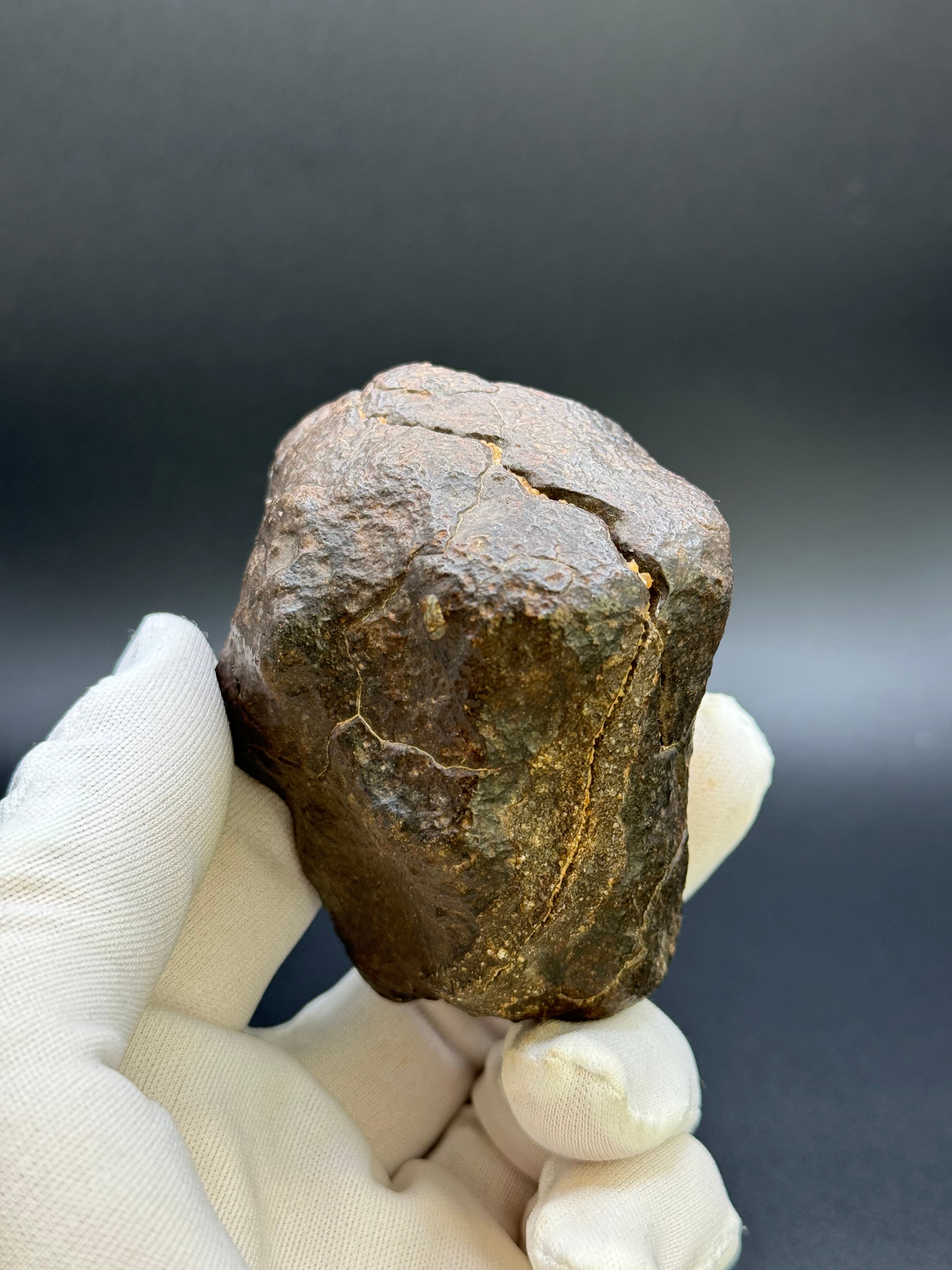 CHONDRITE METEORITE, NORTH WEST AFRICA. 368 GRAMS.