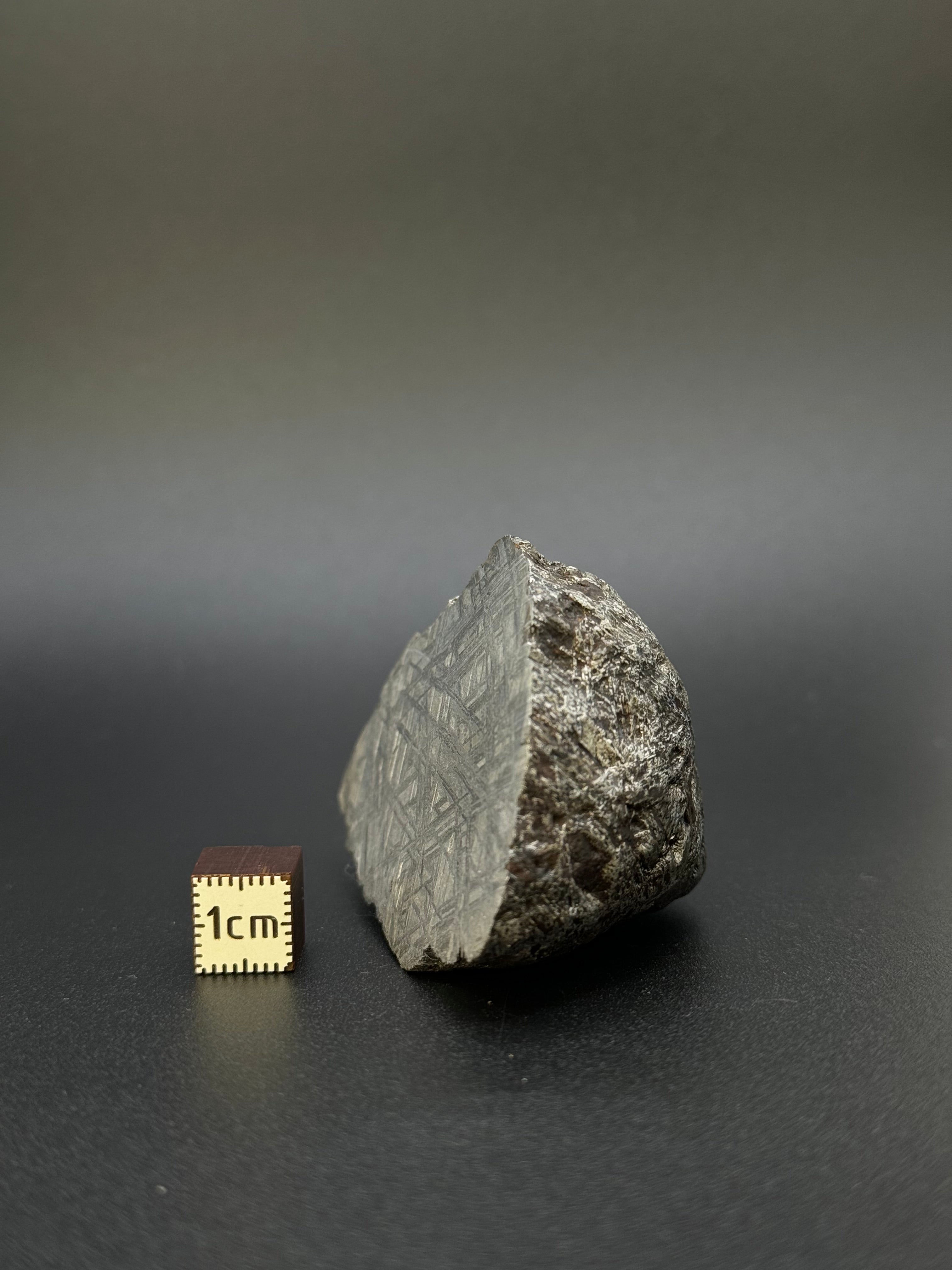 MUONIONALUSTA METEORITE, SWEDEN. 242 GRAMS END-CUT.