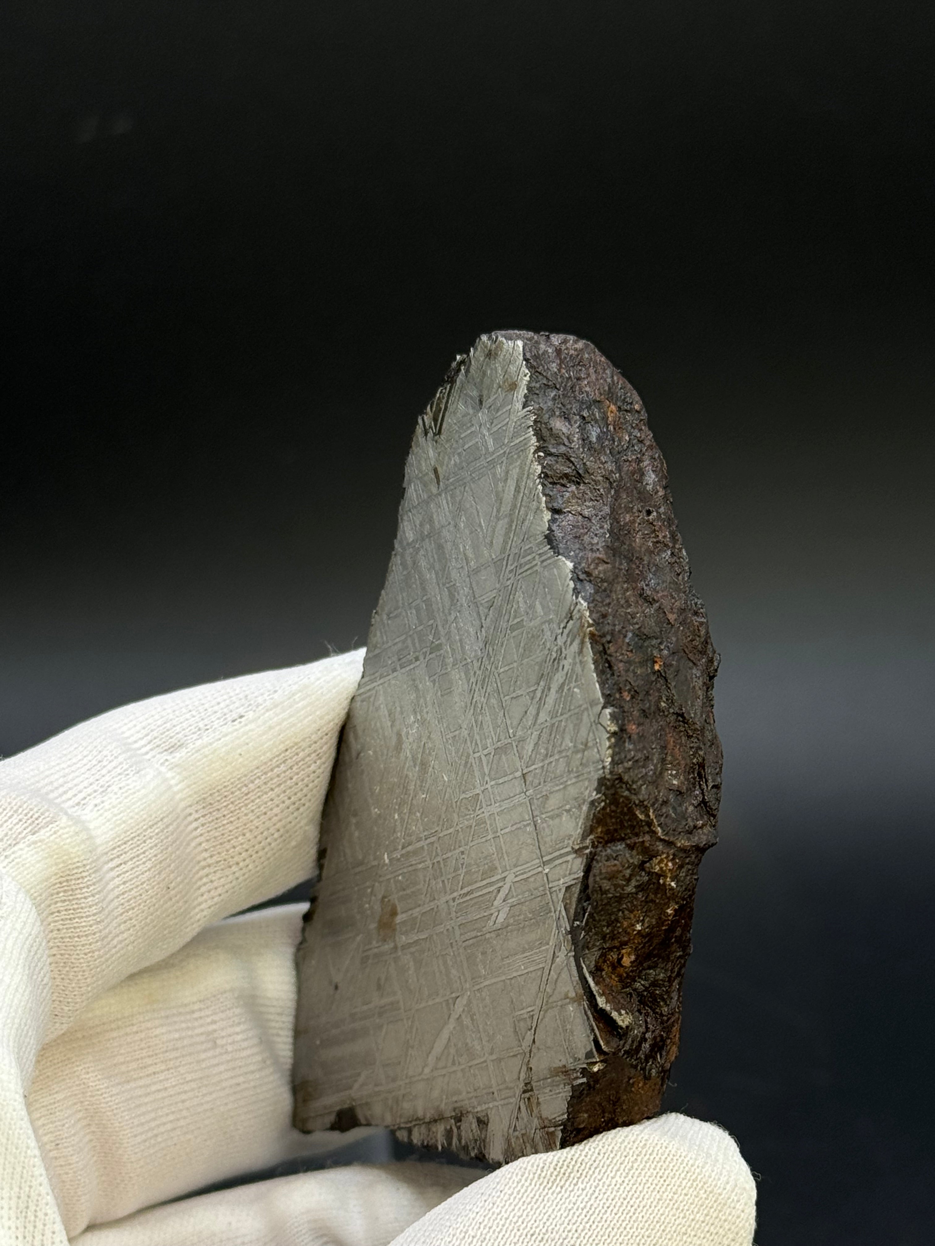MUONIONALUSTA METEORITE, SWEDEN. 226 GRAMS END-CUT.