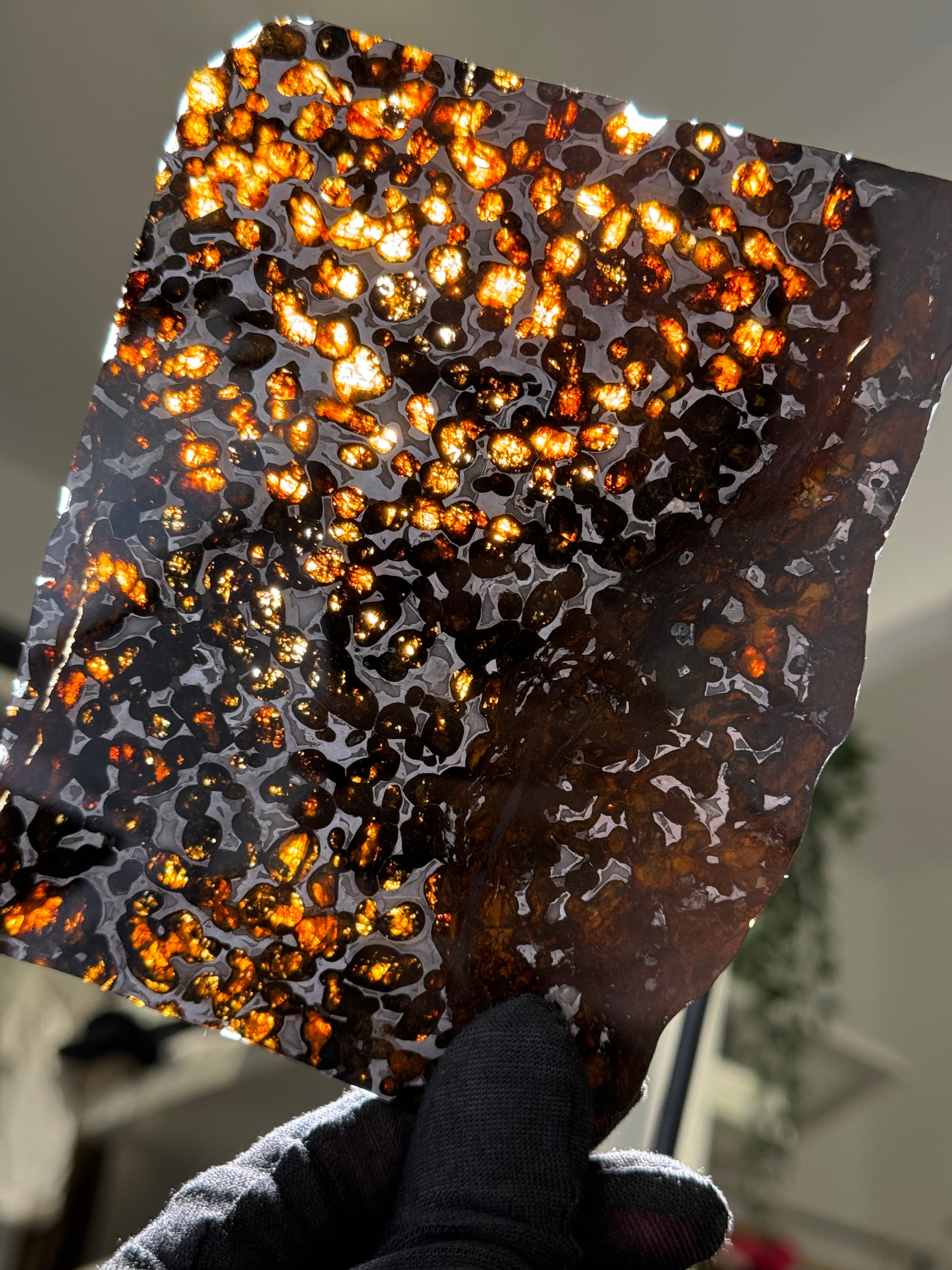 SERICHO METEORITE, KENYA. 102 GRAMS SLICE