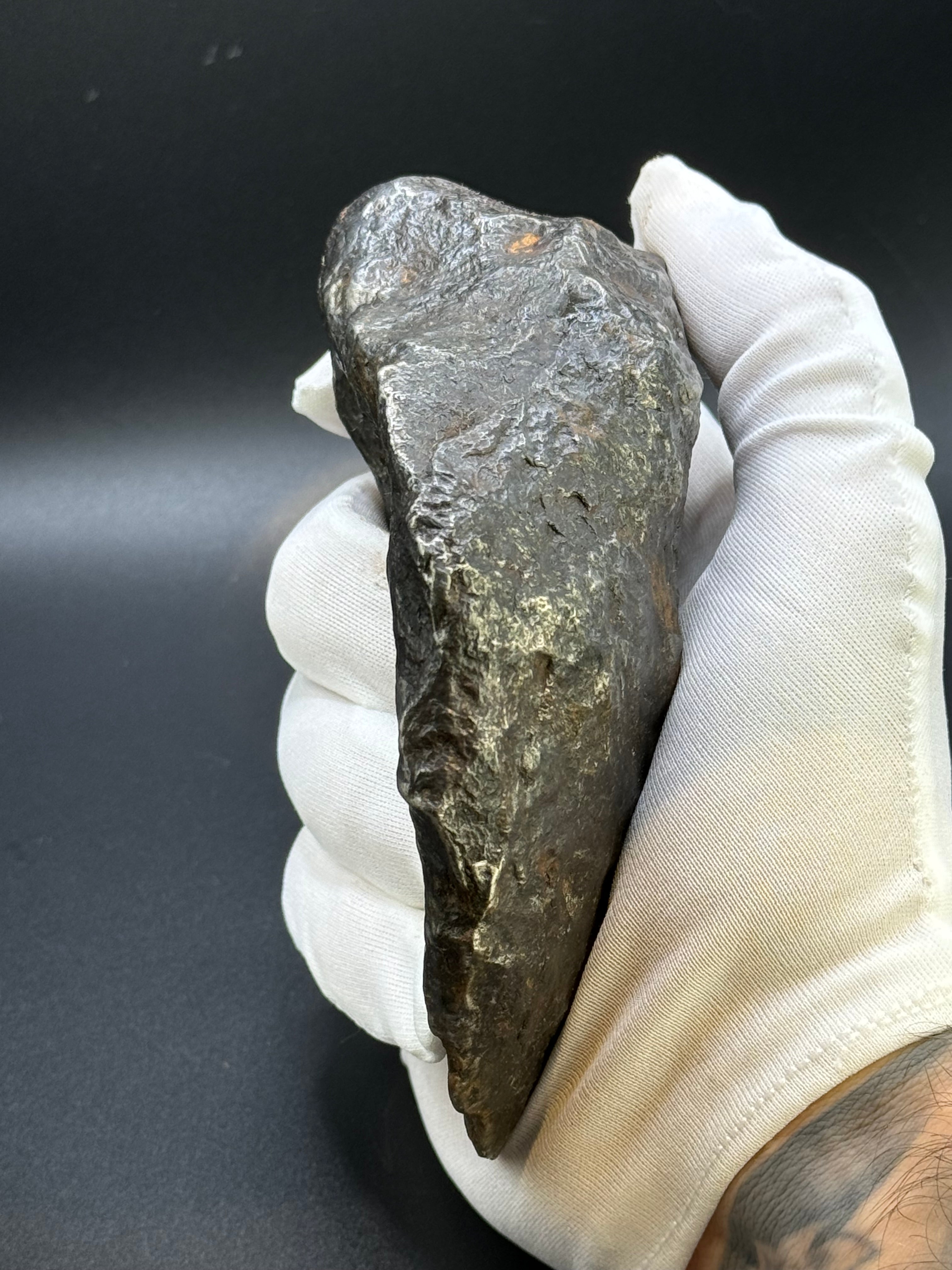 MUONIONALUSTA METEORITE, SWEDEN. FULL METEORITE 1711 grams.