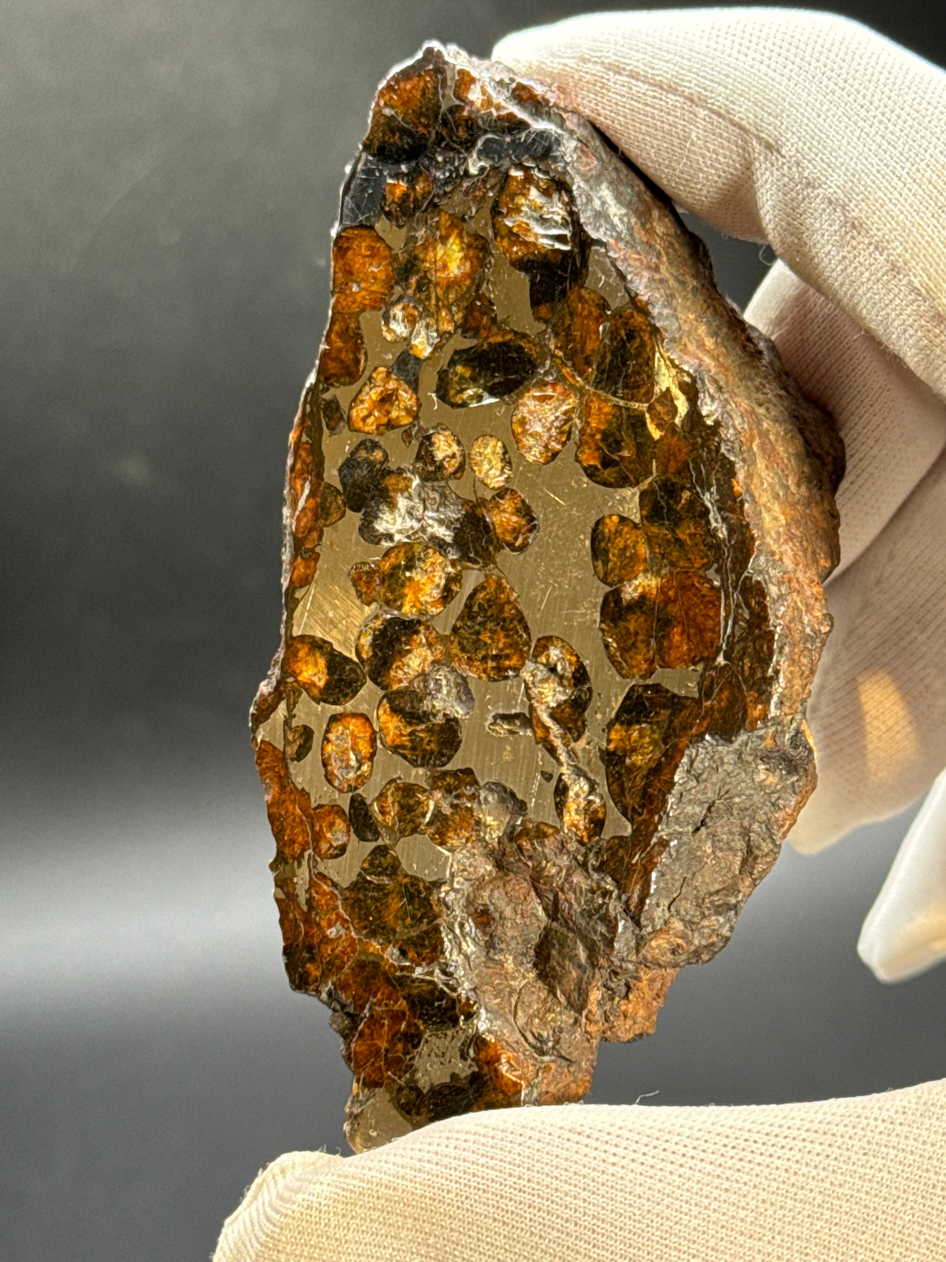 Sericho pallasite meteorite, Kenya. 180,4 grams end-cut.