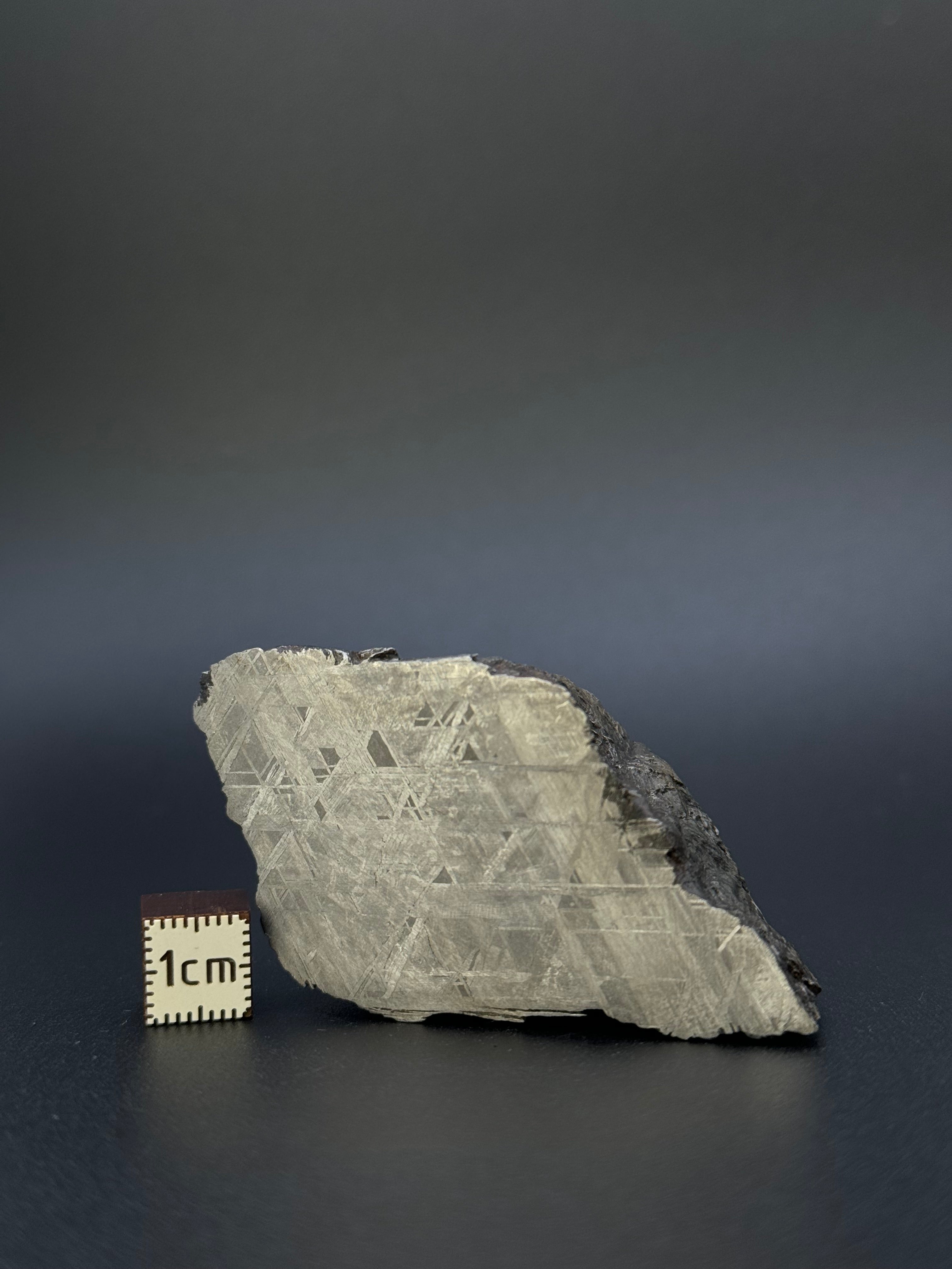 MUONIONALUSTA METEORITE, SWEDEN. 213 GRAMS END-CUT.