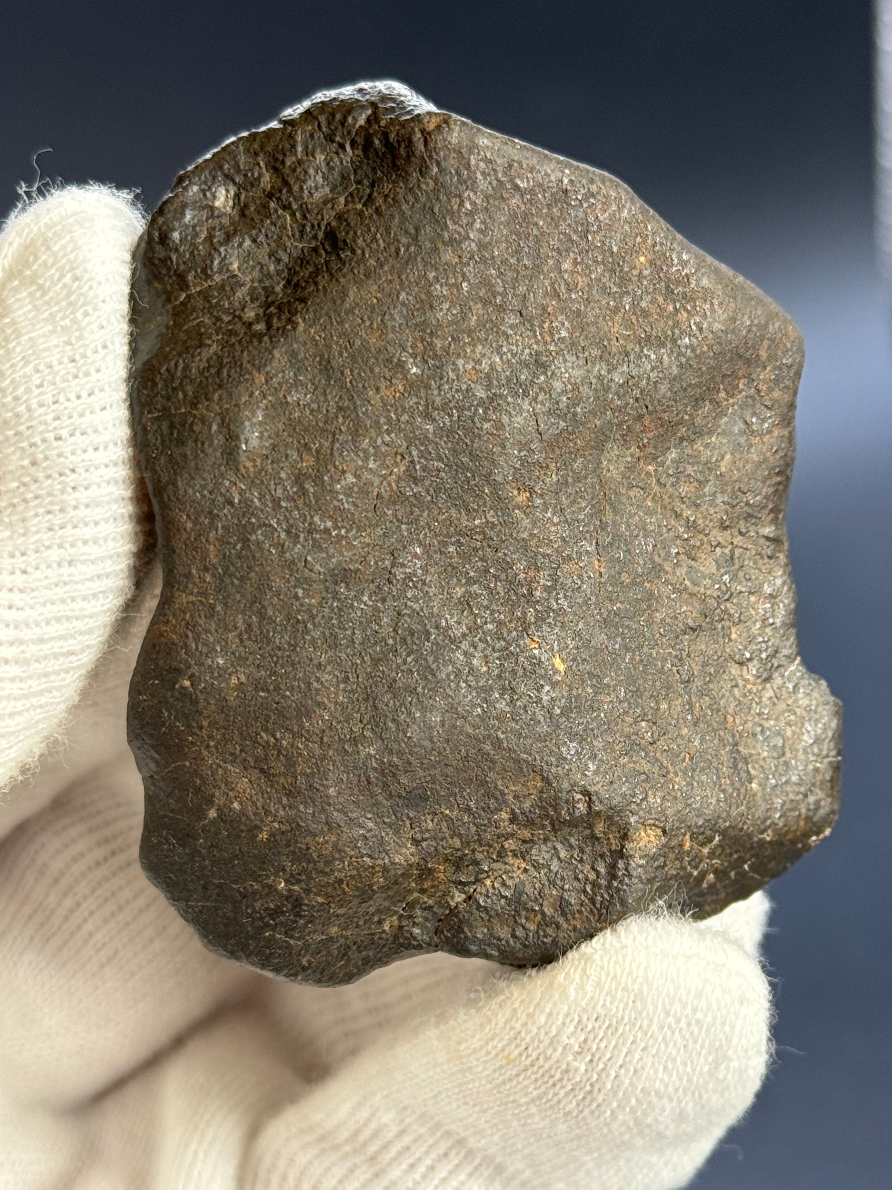 Chondrite Meteorite, North West Africa. 153.66g