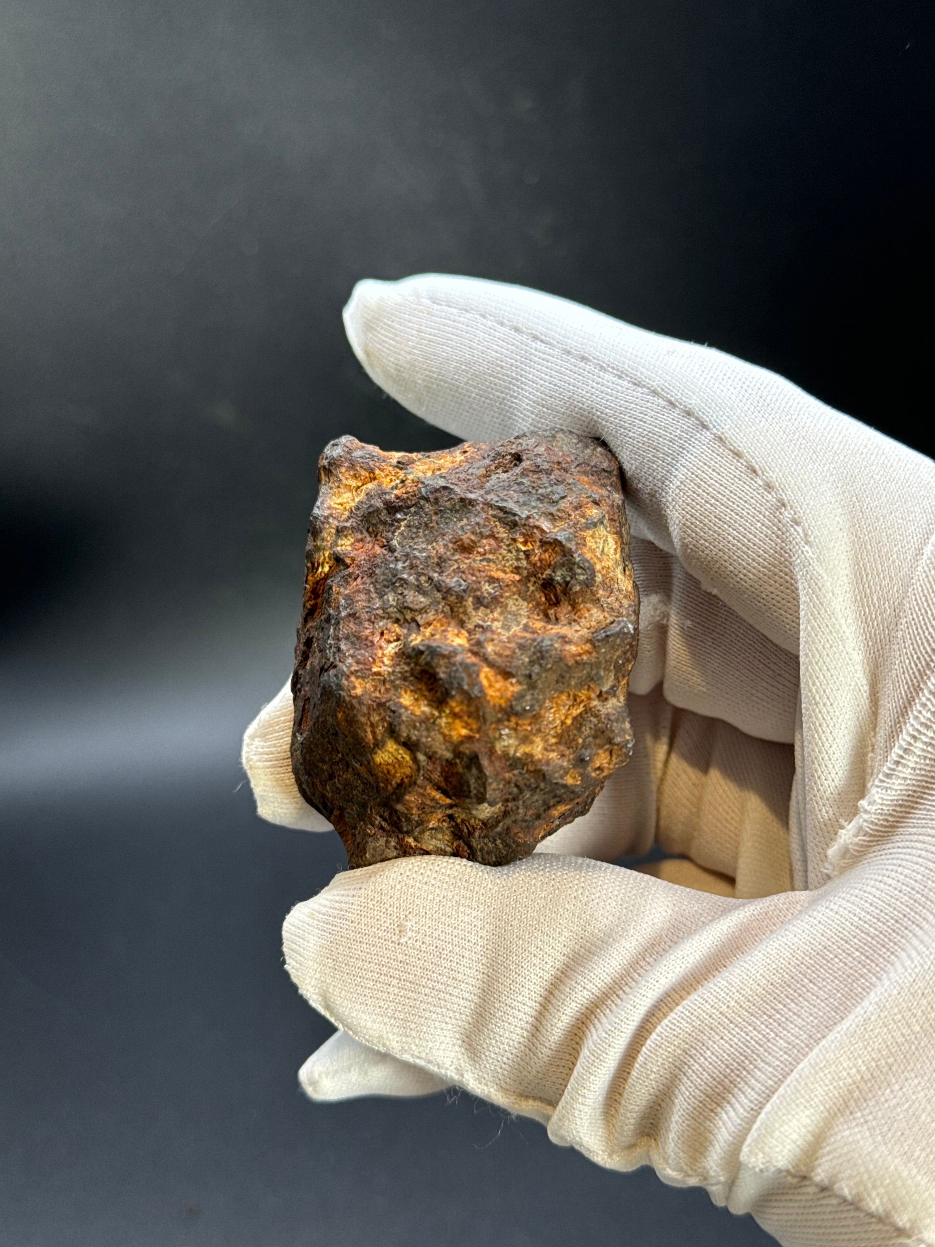 SERICHO PALLASITE METEORITE, KENYA. 92,90 GRAMS END-CUT.