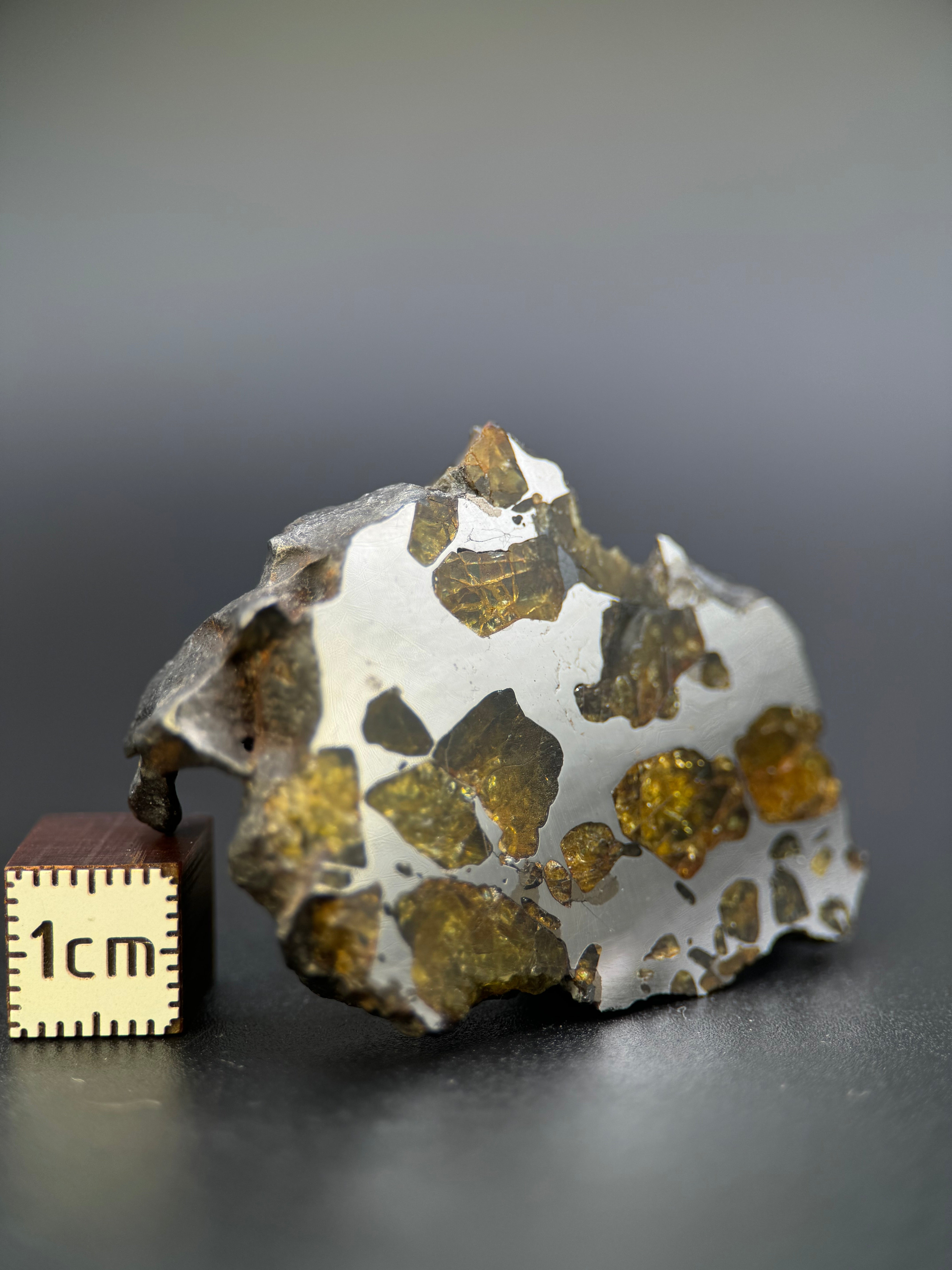 IMILAC PALLASITE METEORITE, END CUT, CHILE. 44,7 GRAMS.