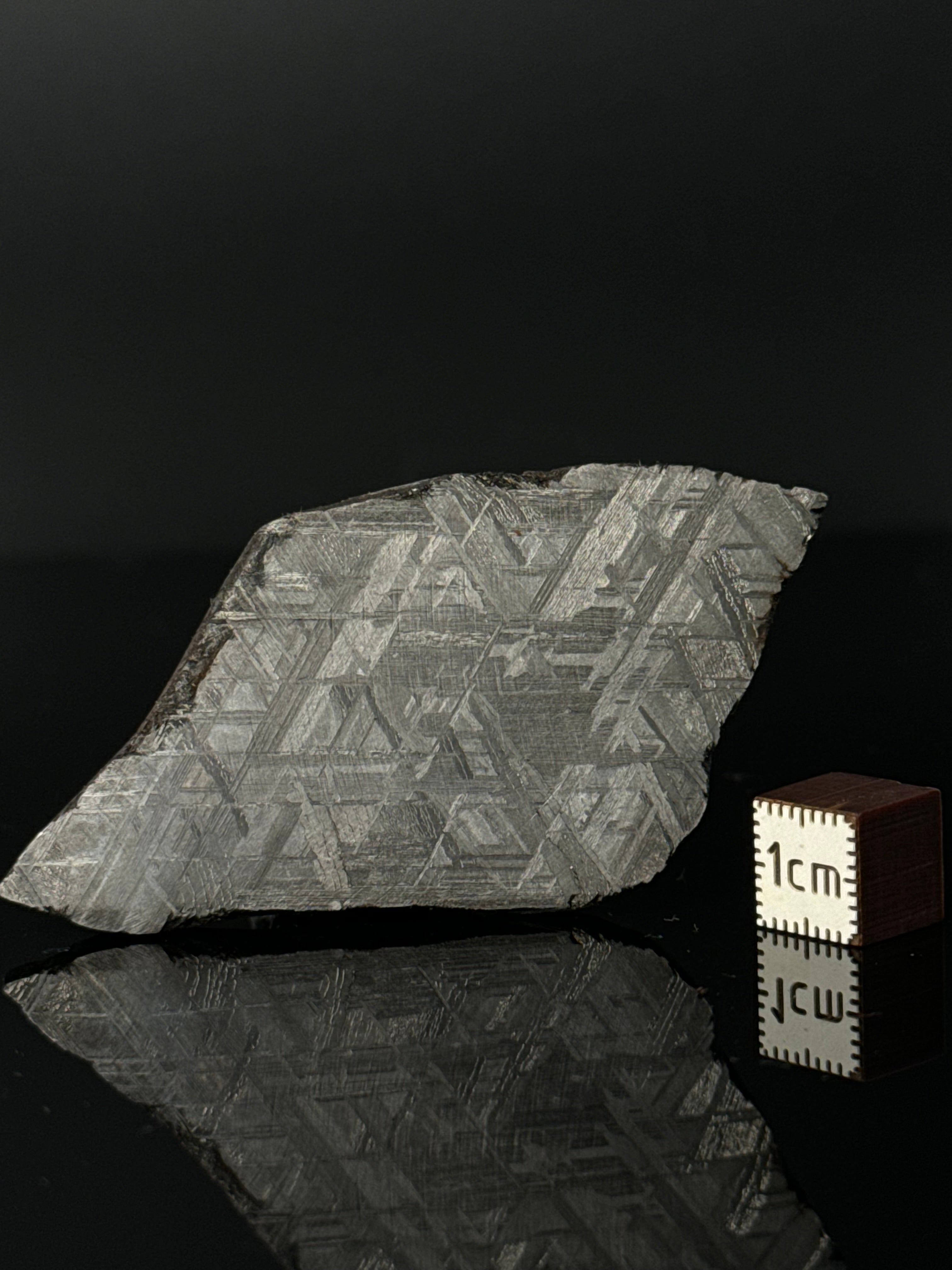 MUONIONALUSTA METEORITE, SWEDEN 42,28 GRAMS.