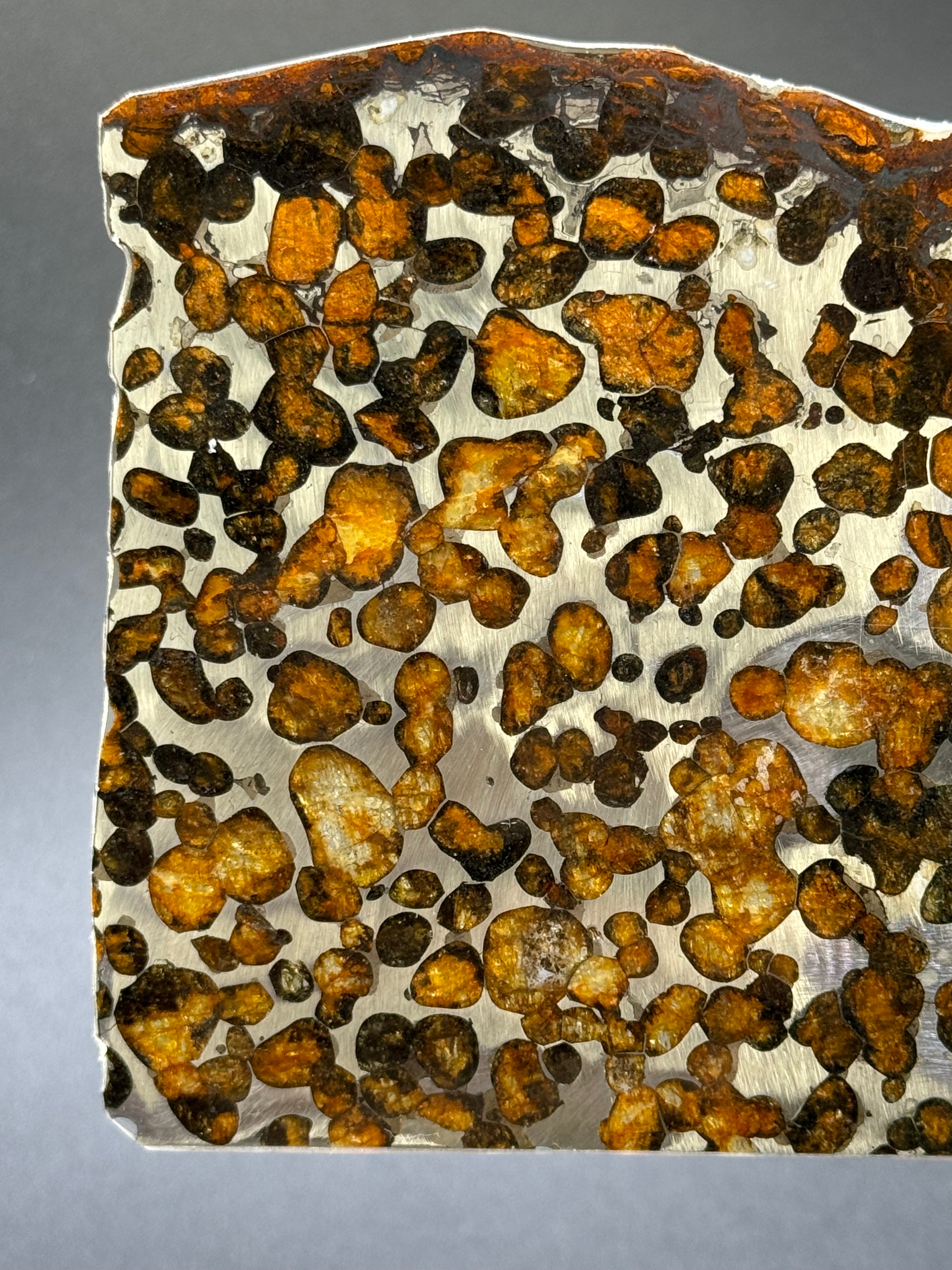 SERICHO METEORITE, KENYA. 62,07 GRAMS SLICE