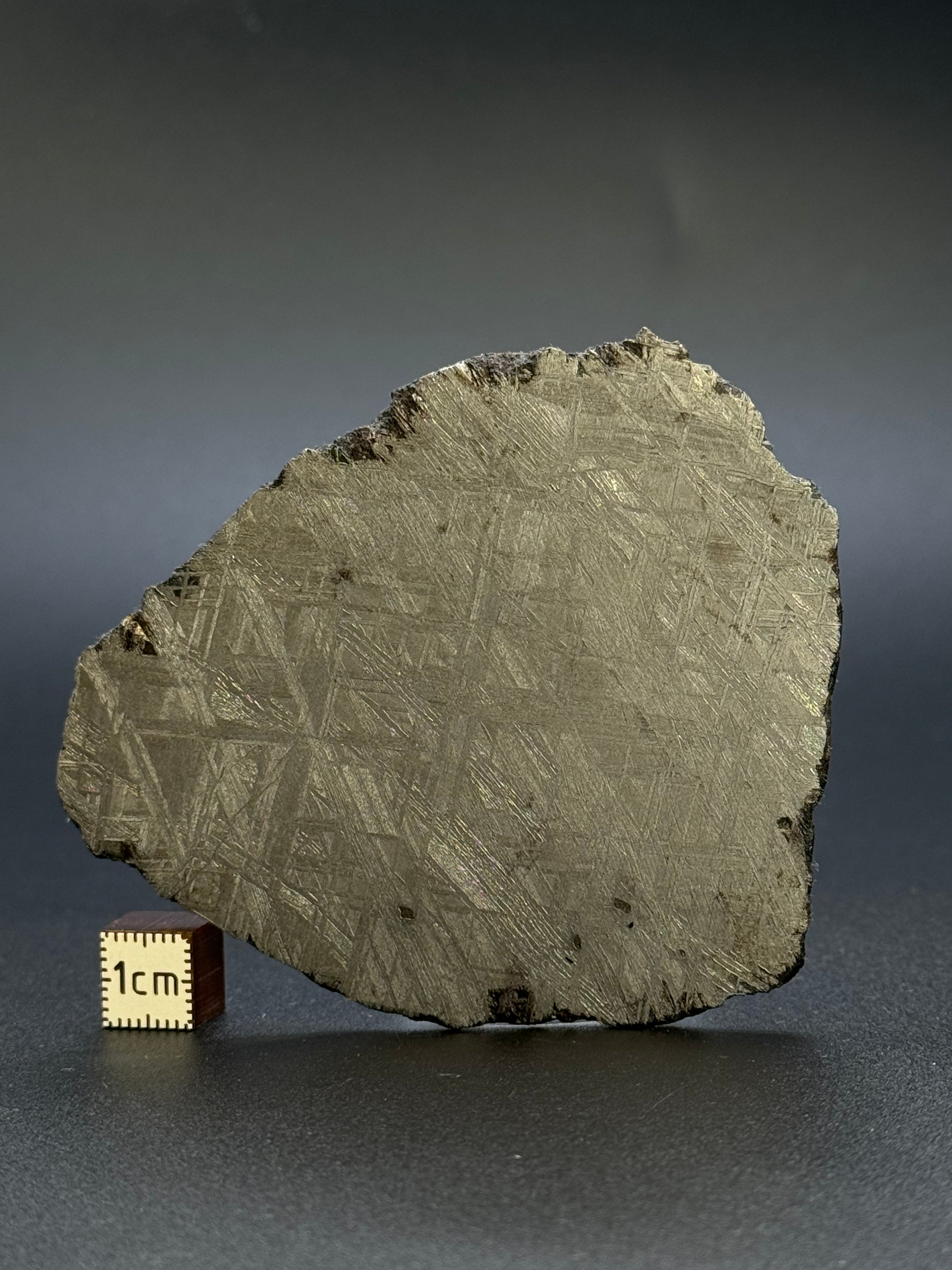 MUONIONALUSTA METEORITE, SWEDEN. 92,42 GRAMS.