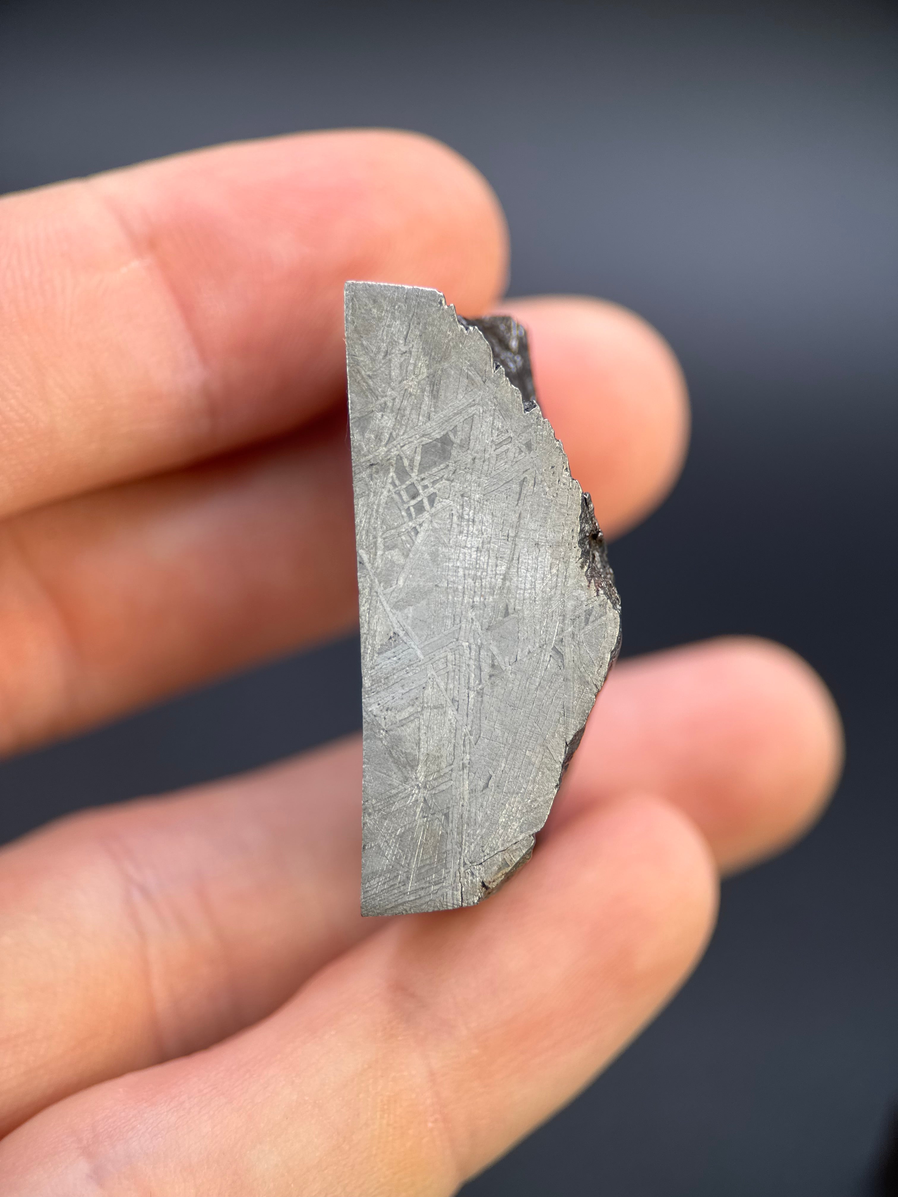 MUONIONALUSTA METEORITE, SWEDEN. 78,68 GRAMS END-CUT