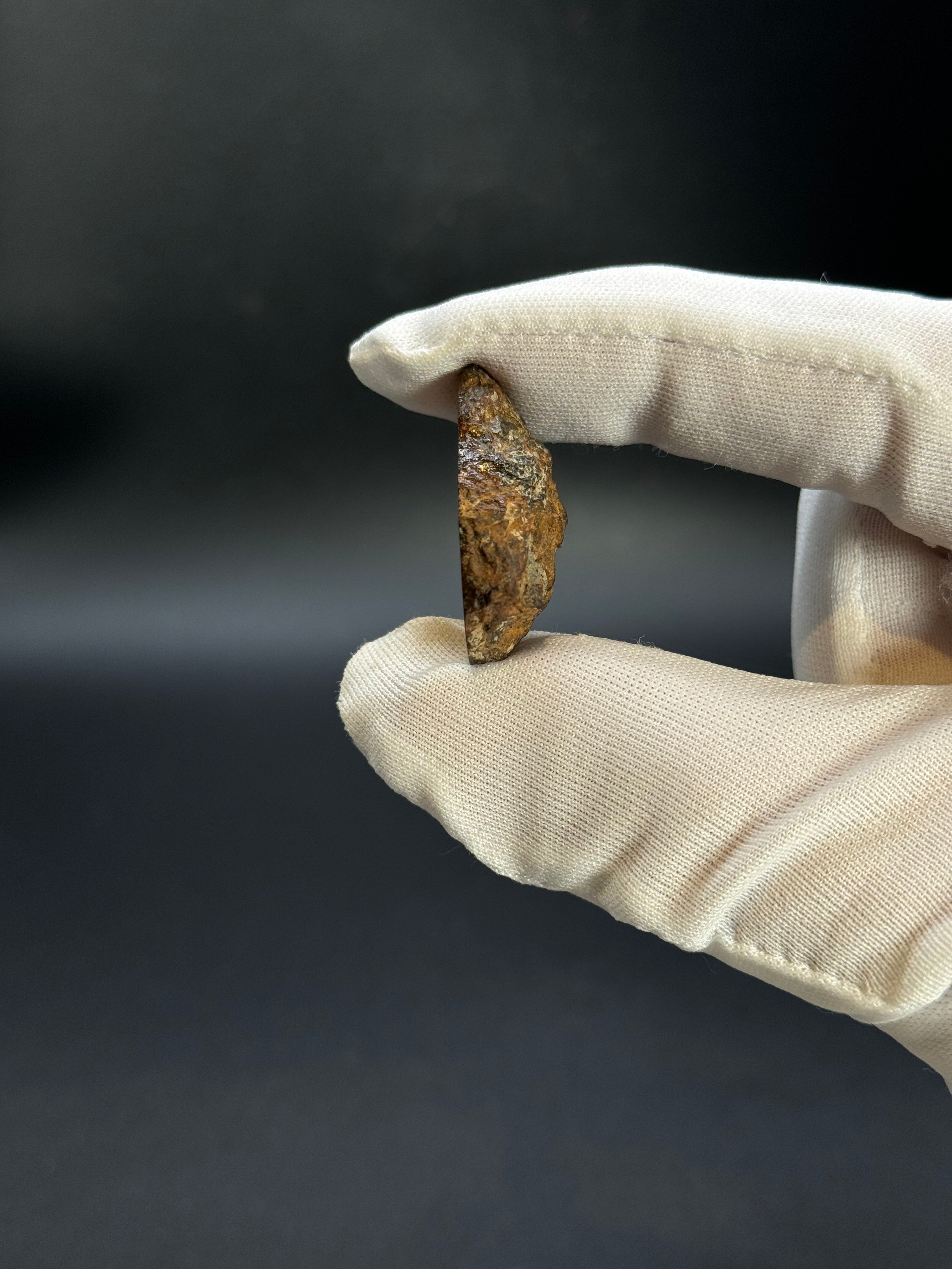 SERICHO PALLASITE METEORITE, KENYA. 12,47 GRAMS END-CUT.
