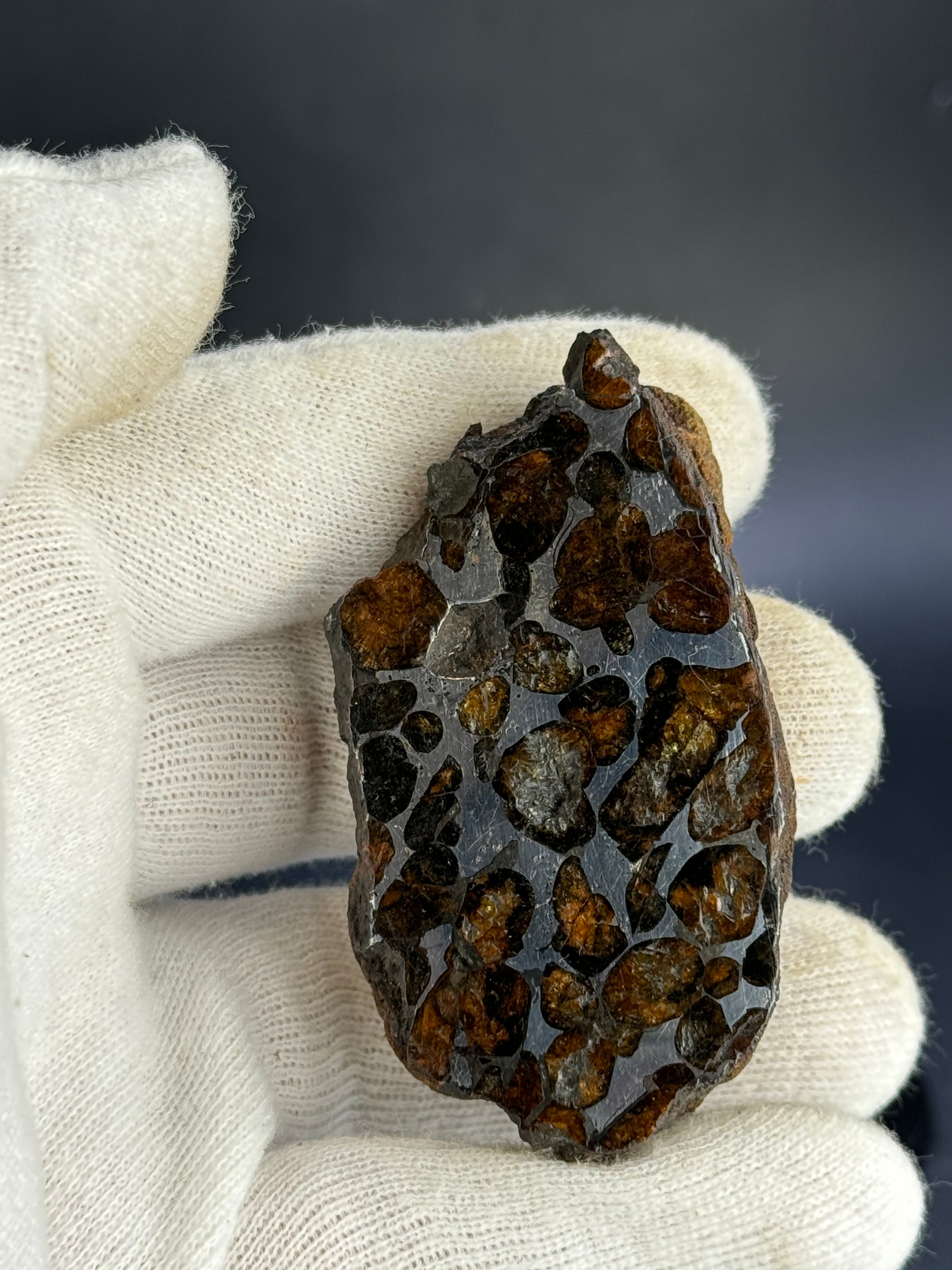 SERICHO PALLASITE METEORITE, KENYA. 143,41 GRAMS END-CUT.