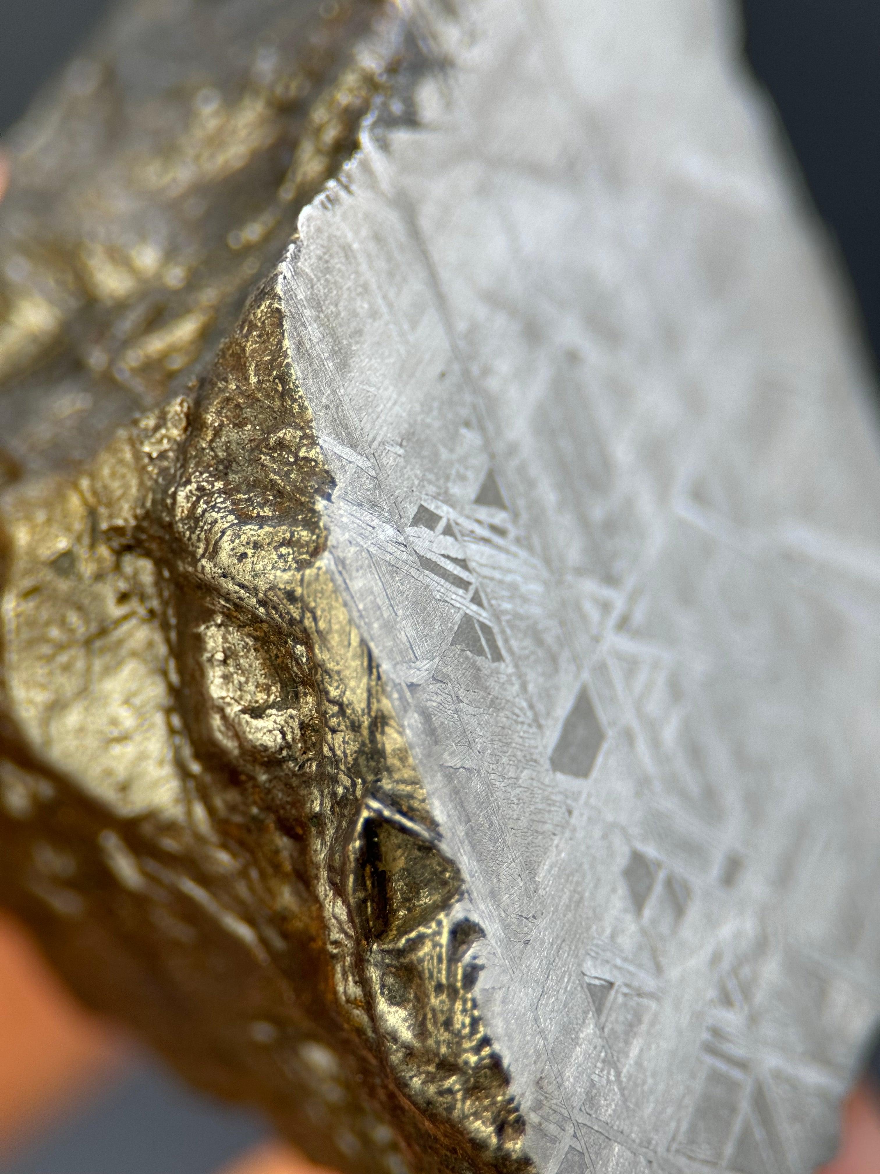 MUONIONALUSTA METEORITE, SWEDEN. 213 GRAMS END-CUT.