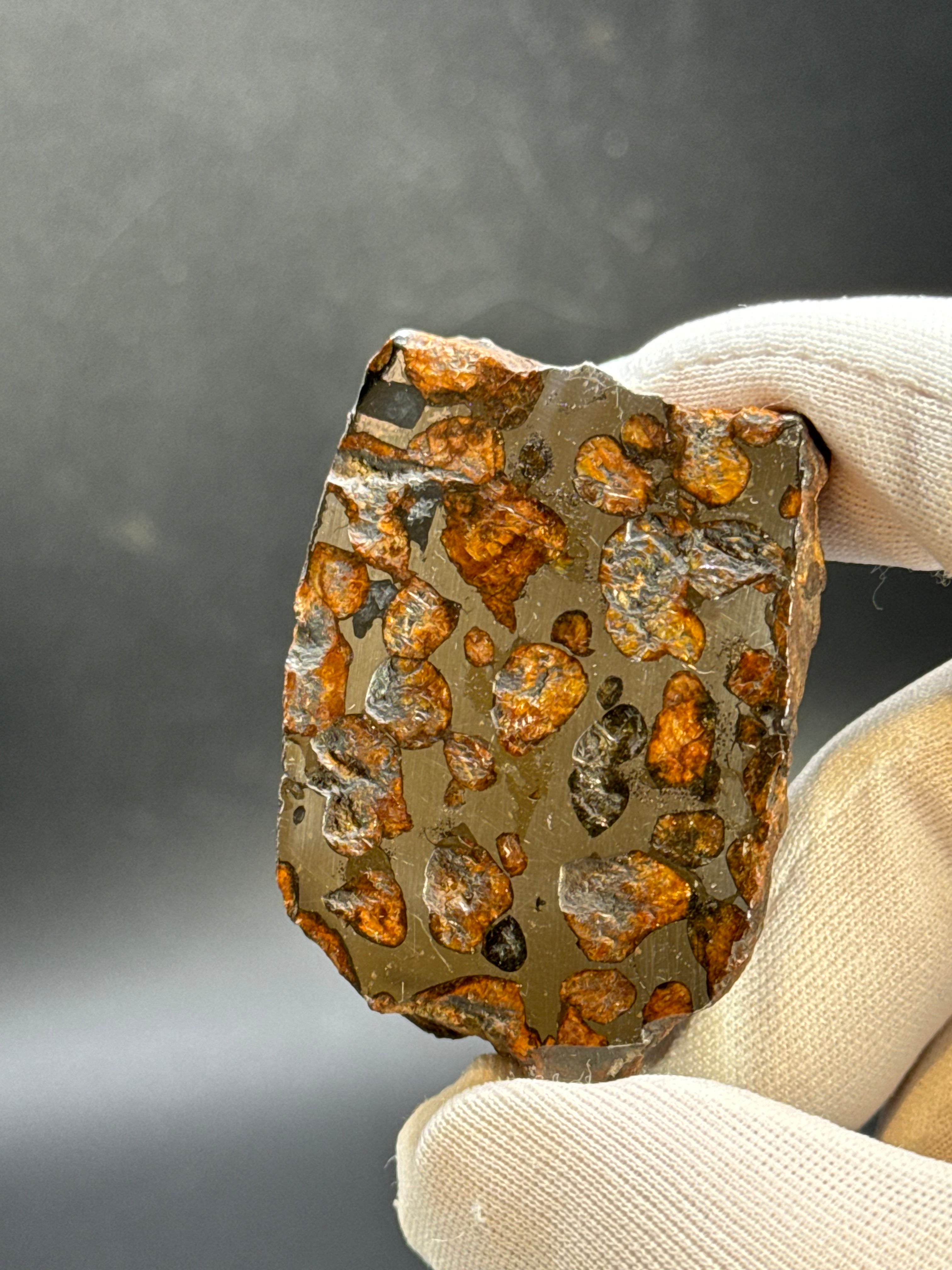 SERICHO PALLASITE METEORITE, KENYA. 92,90 GRAMS END-CUT.