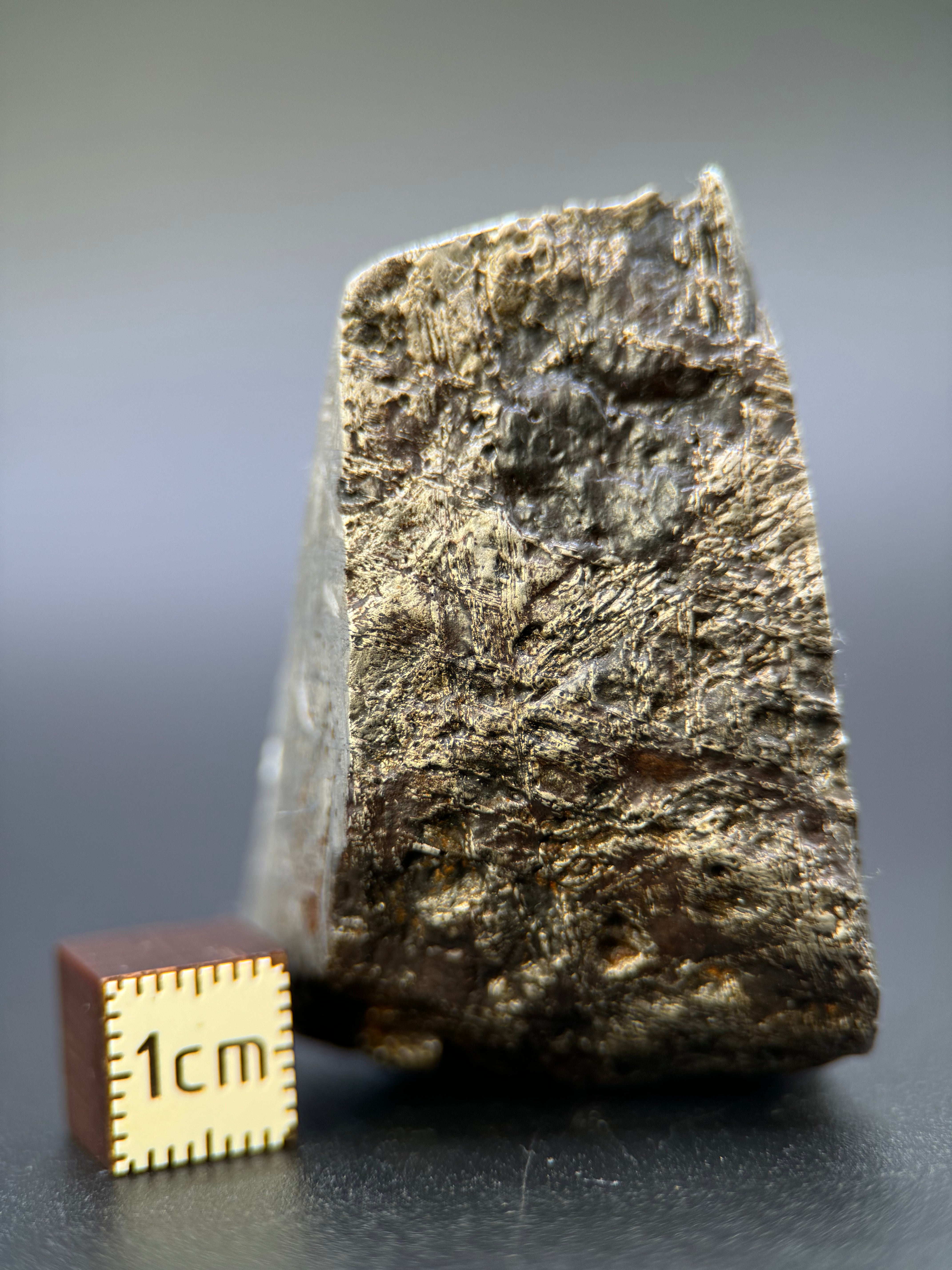 MUONIONALUSTA METEORITE, SWEDEN. 141,05 GRAMS END-CUT