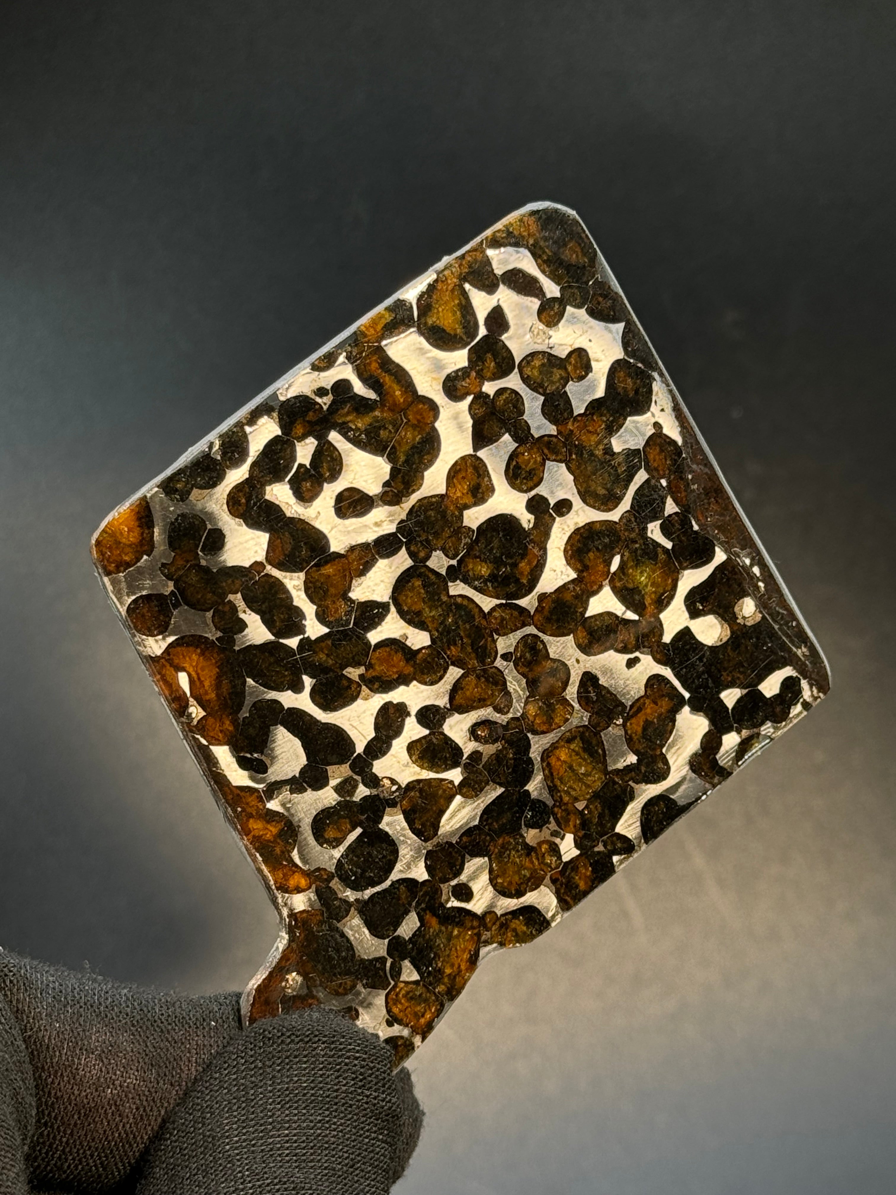 SERICHO METEORITE, KENYA. 30 GRAMS SLICE