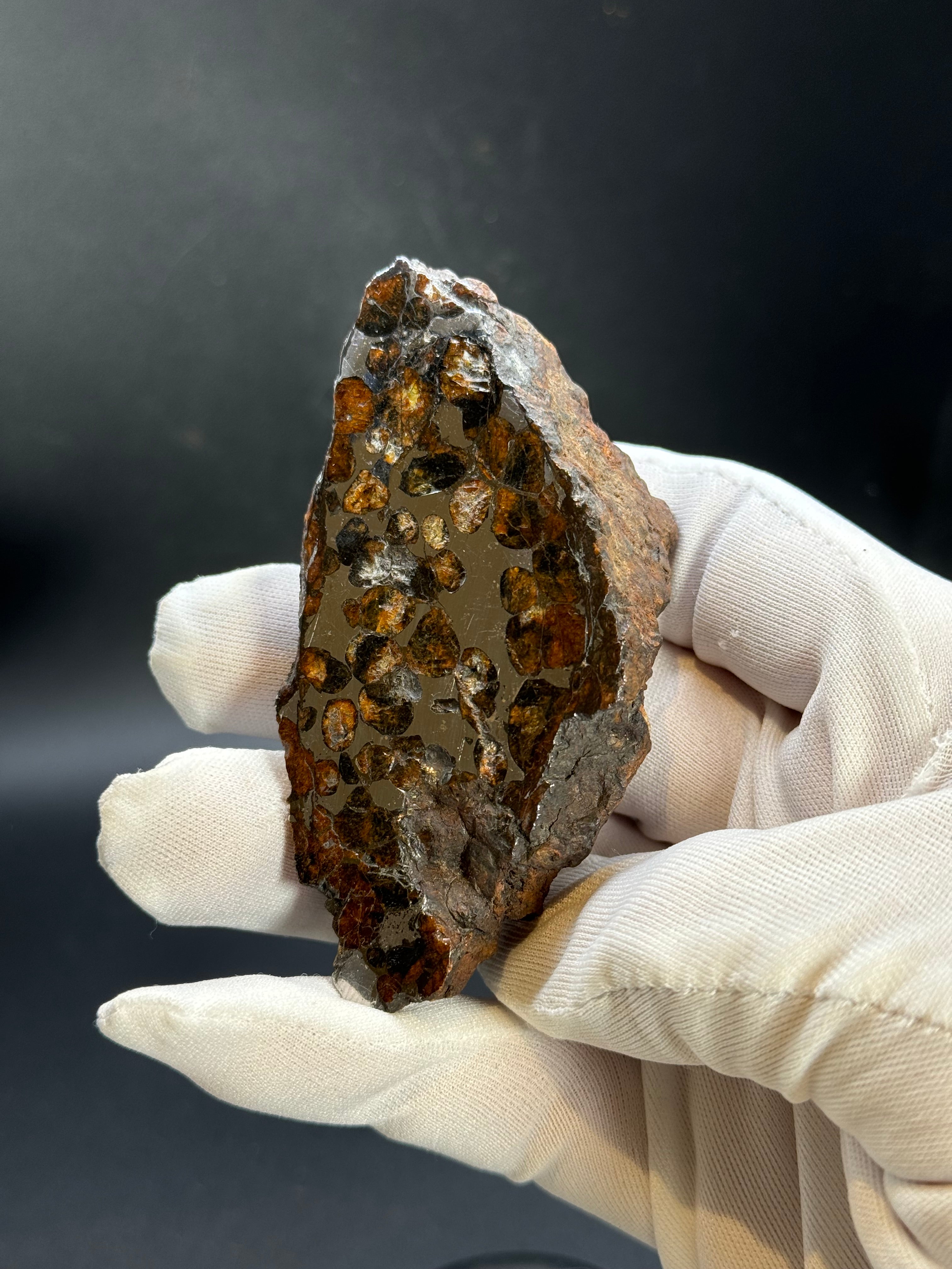 Sericho pallasite meteorite, Kenya. 180,4 grams end-cut.
