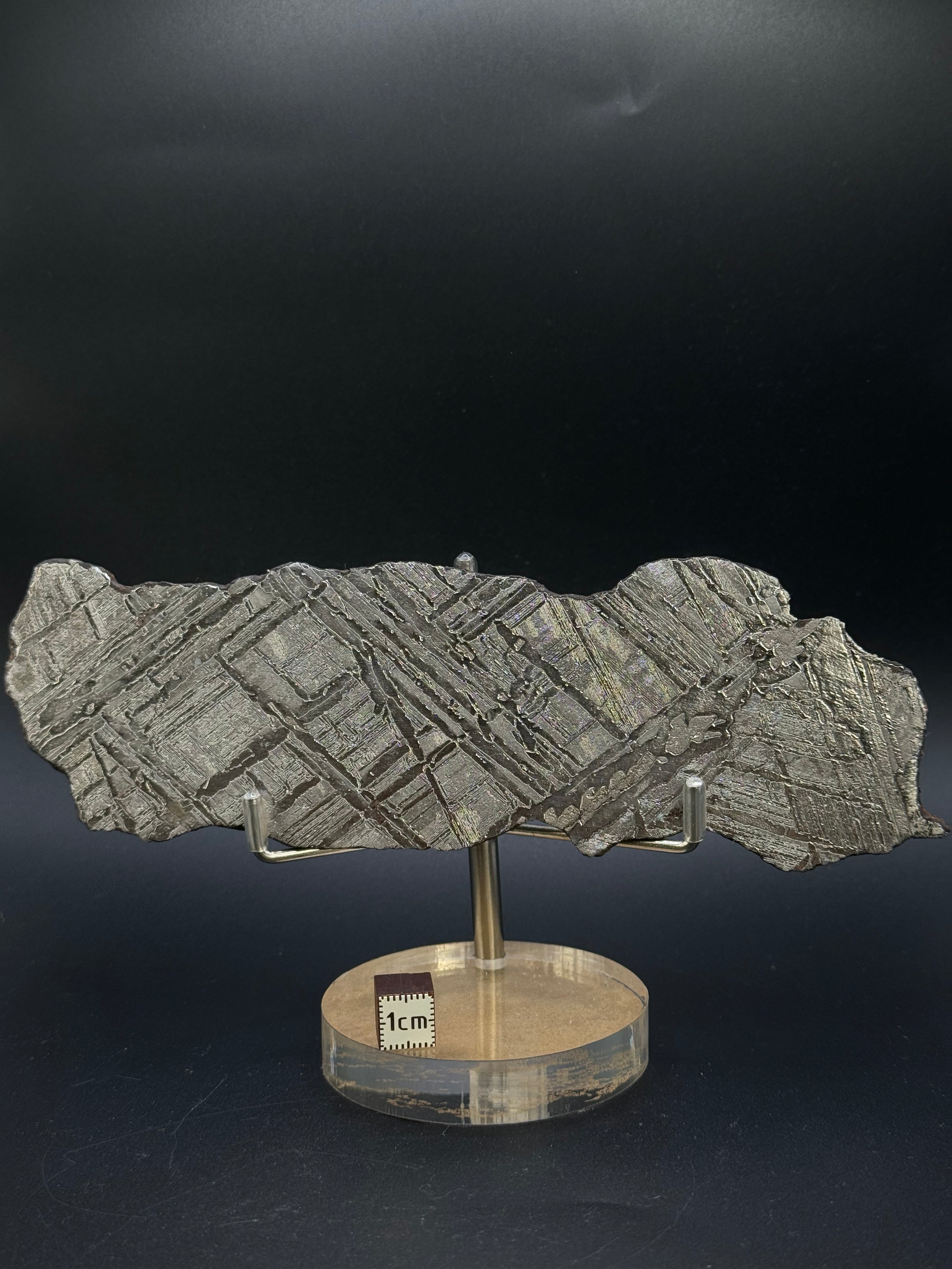 Seymchan meteorite, Magadan region, Russia. 111 grams.