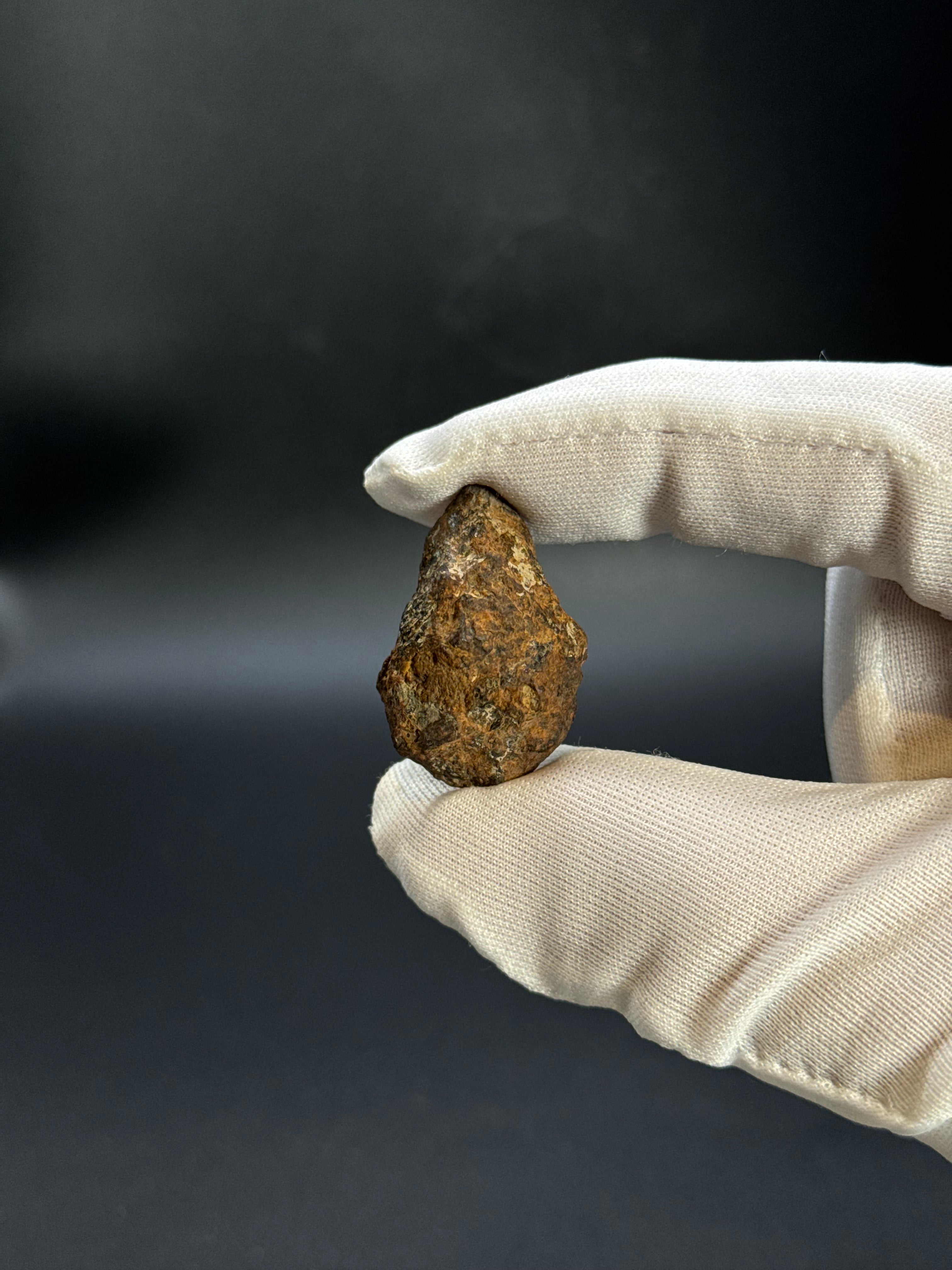 SERICHO PALLASITE METEORITE, KENYA. 12,47 GRAMS END-CUT.