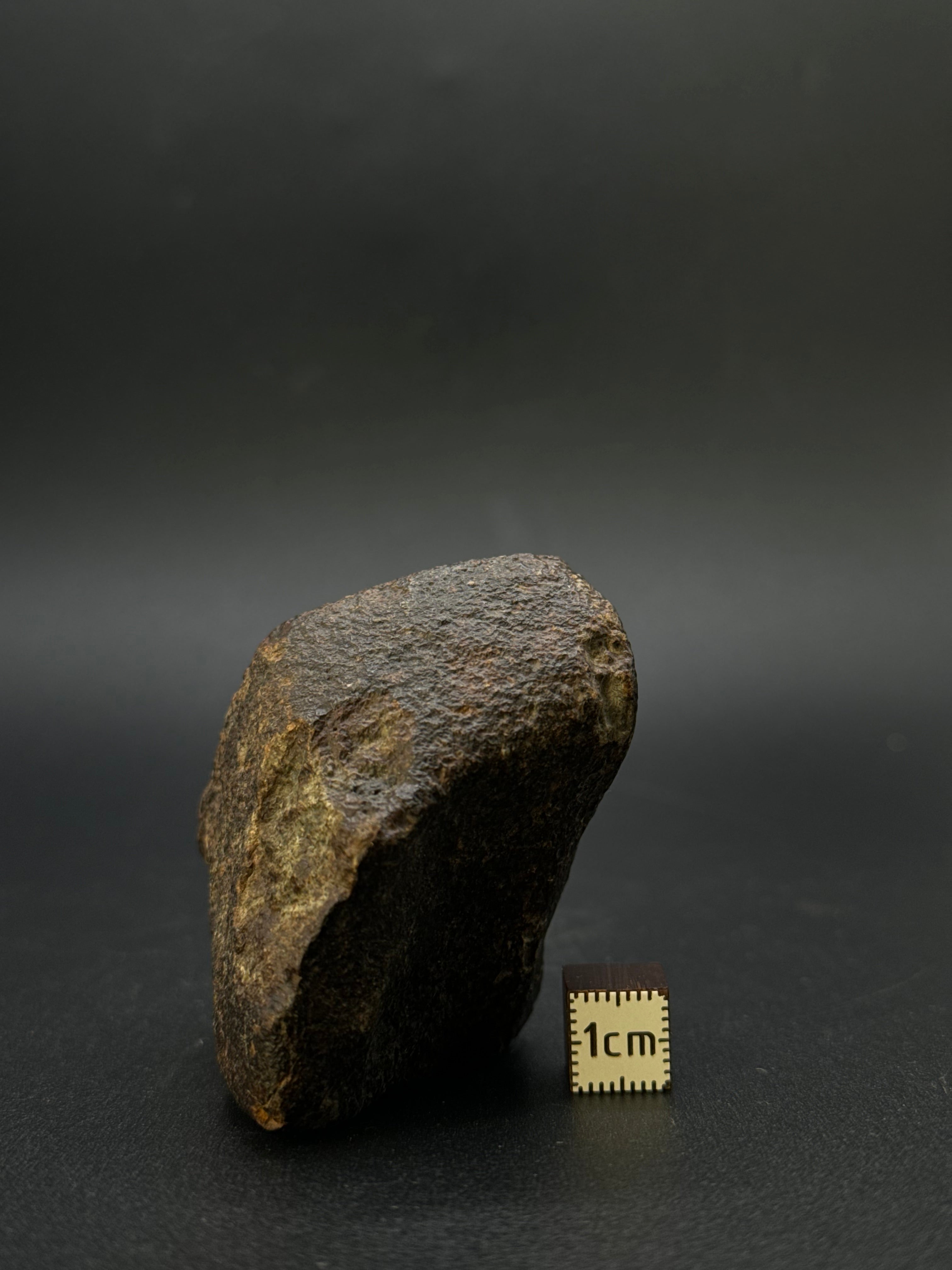 CHONDRITE METEORITE, NORTH WEST AFRICA. 171 GRAMS.