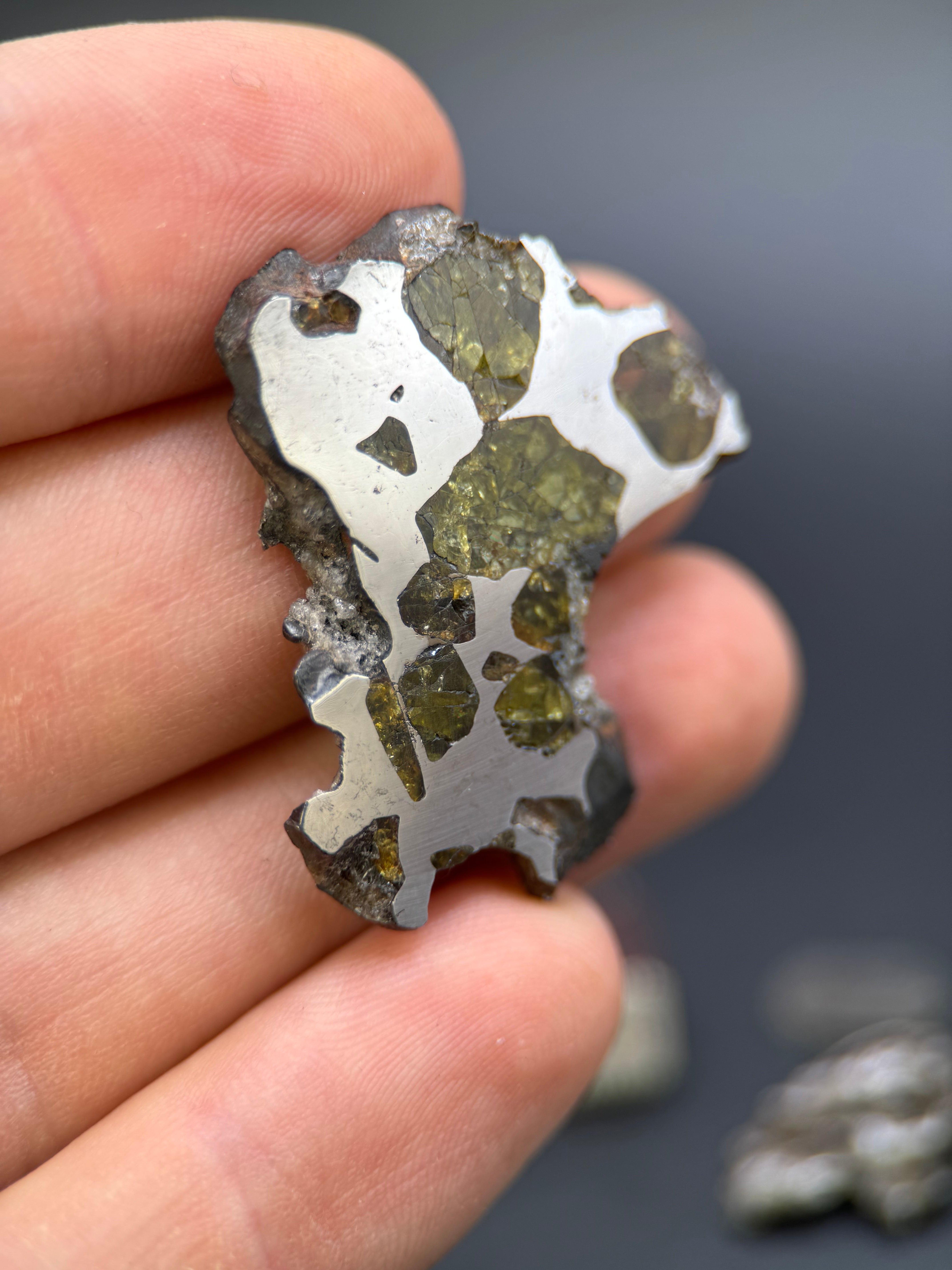 IMILAC PALLASITE METEORITE, CHILE. 12,56 GRAMS SLICE.