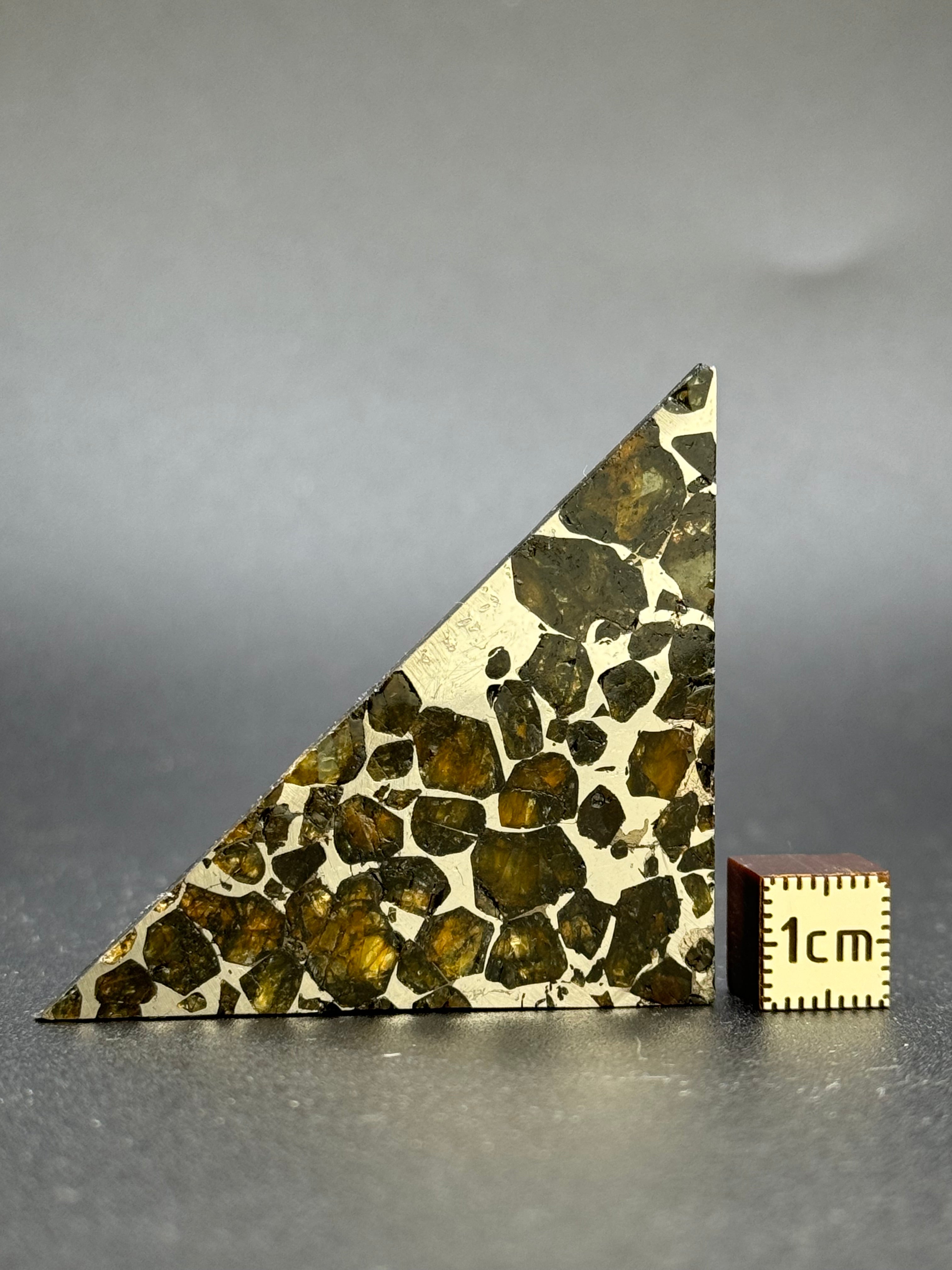 SEYMCHAN METEORITE, MAGADAN REGION, RUSSIA. 12,43 GRAMS.