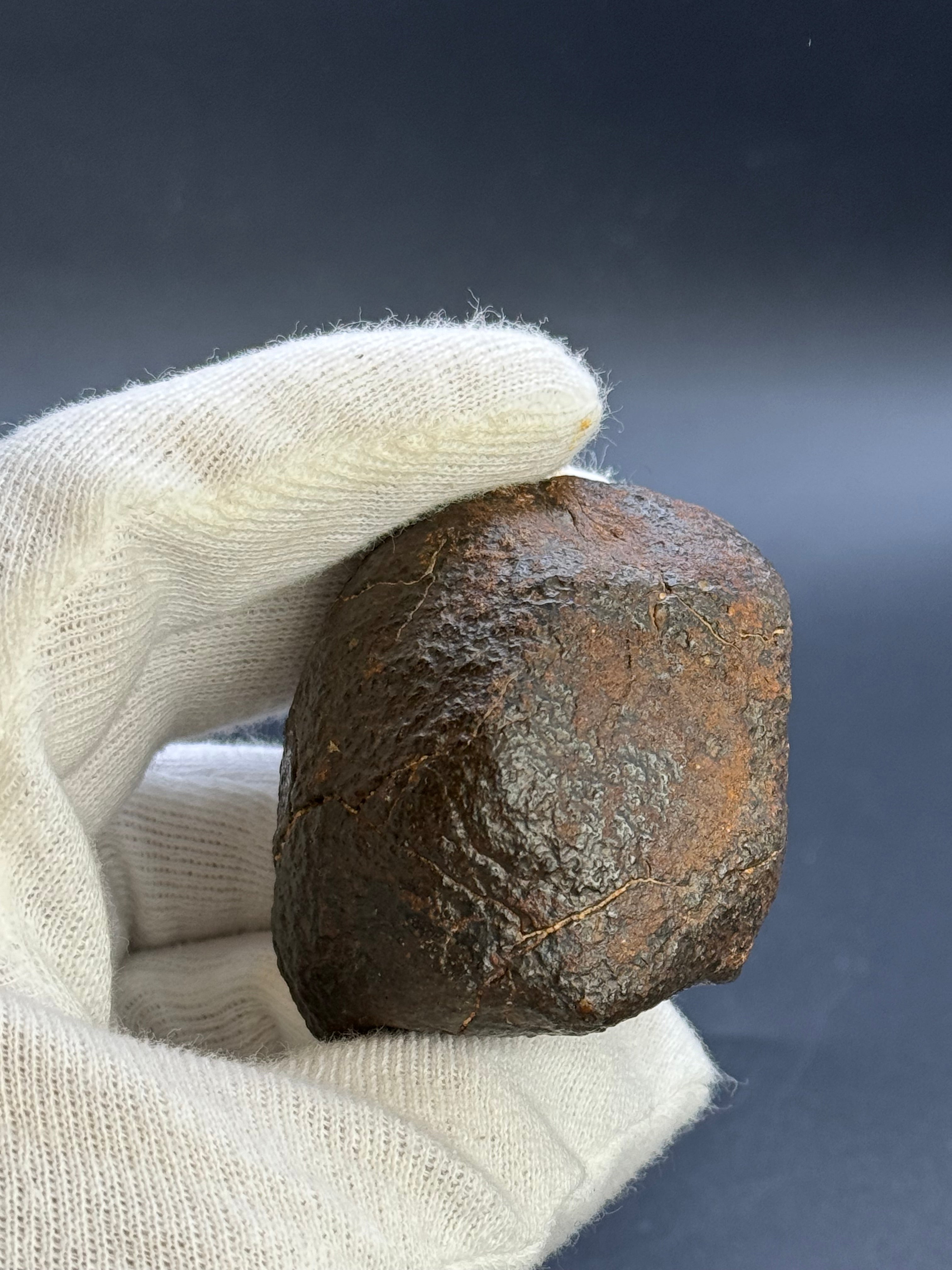 CHONDRITE METEORITE, NORTH WEST AFRICA. 178 GRAMS.