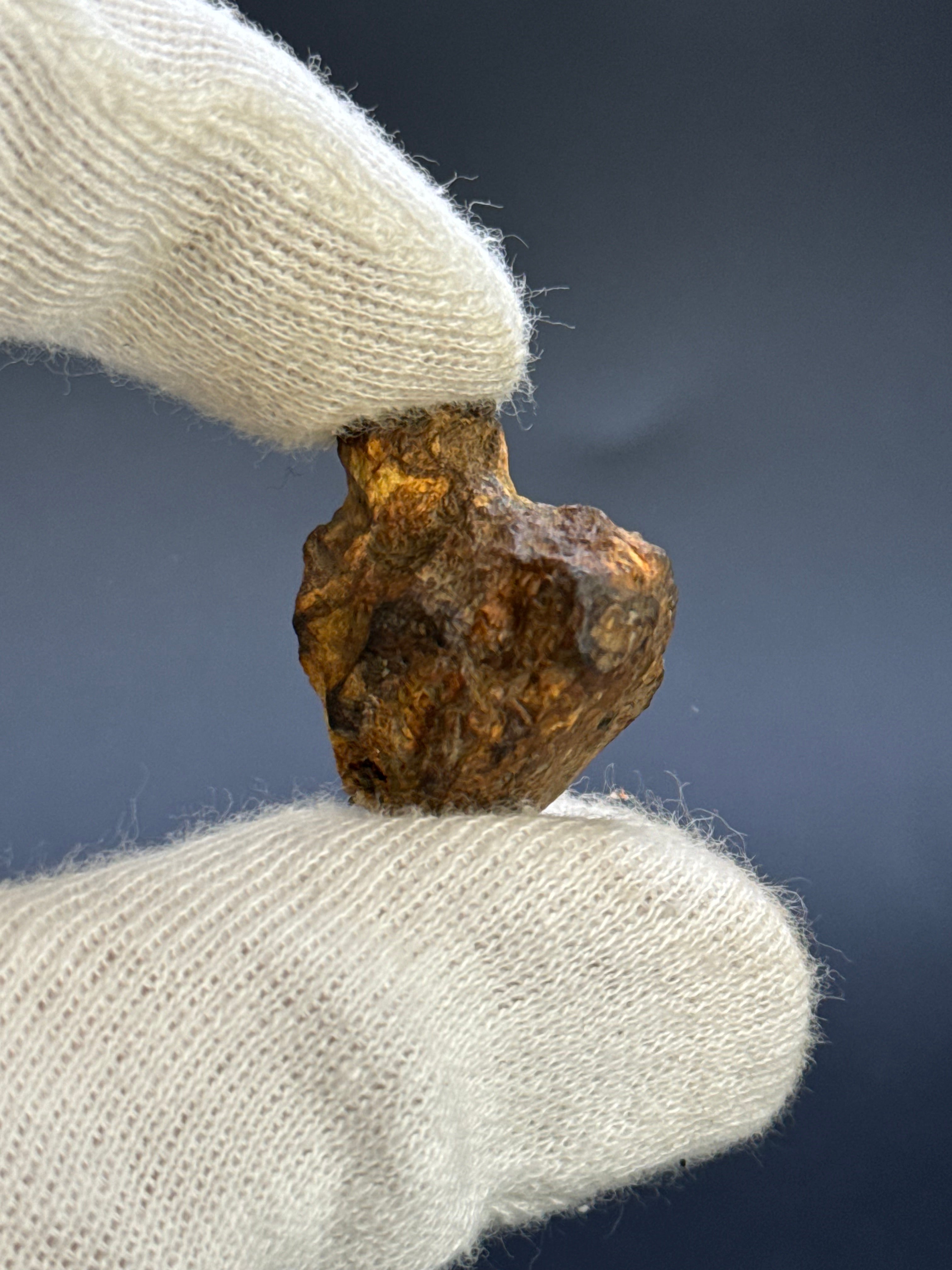 SERICHO PALLASITE METEORITE, KENYA. 14,8 GRAMS END-CUT.