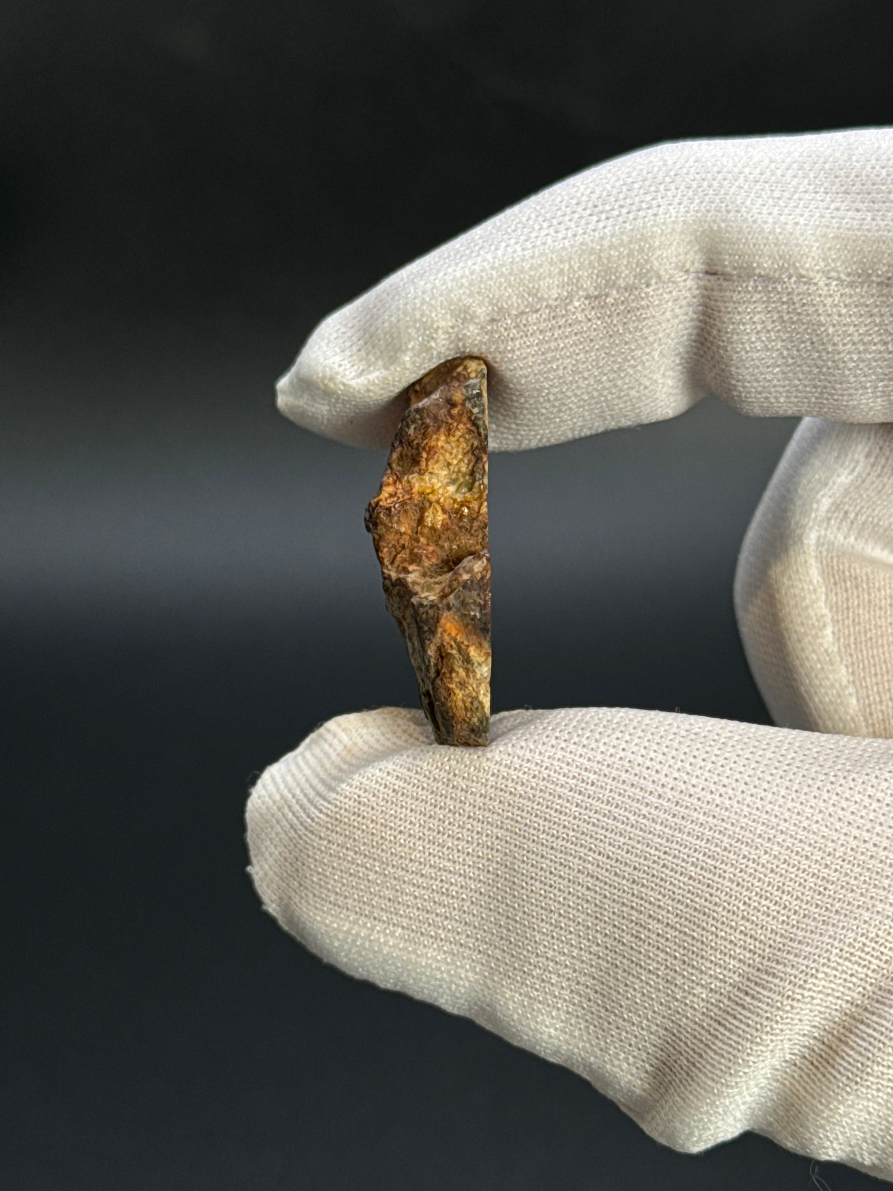 SERICHO PALLASITE METEORITE, KENYA. 7,7 GRAMS END-CUT