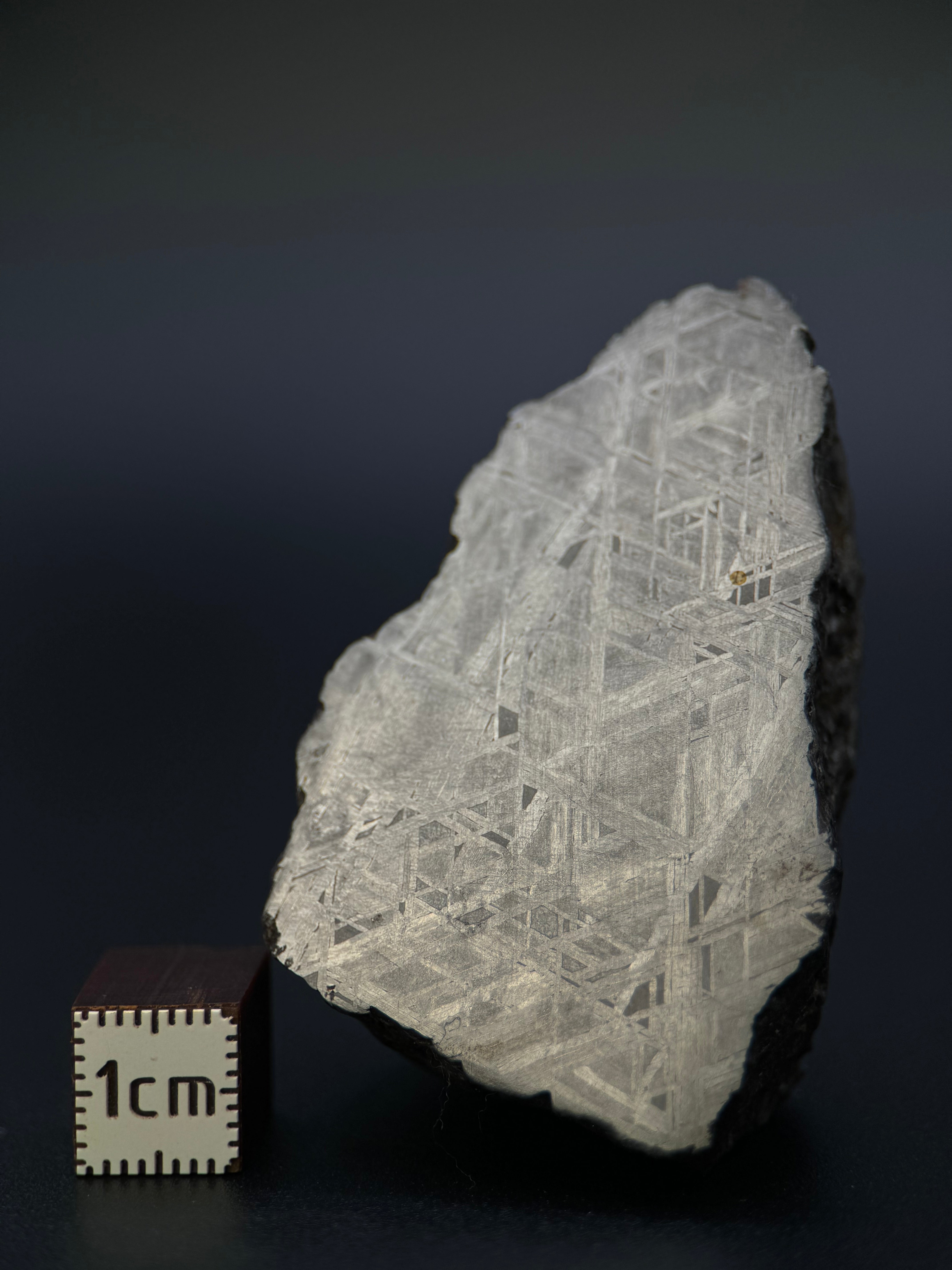 MUONIONALUSTA METEORITE, SWEDEN. 129,8 GRAMS END-CUT