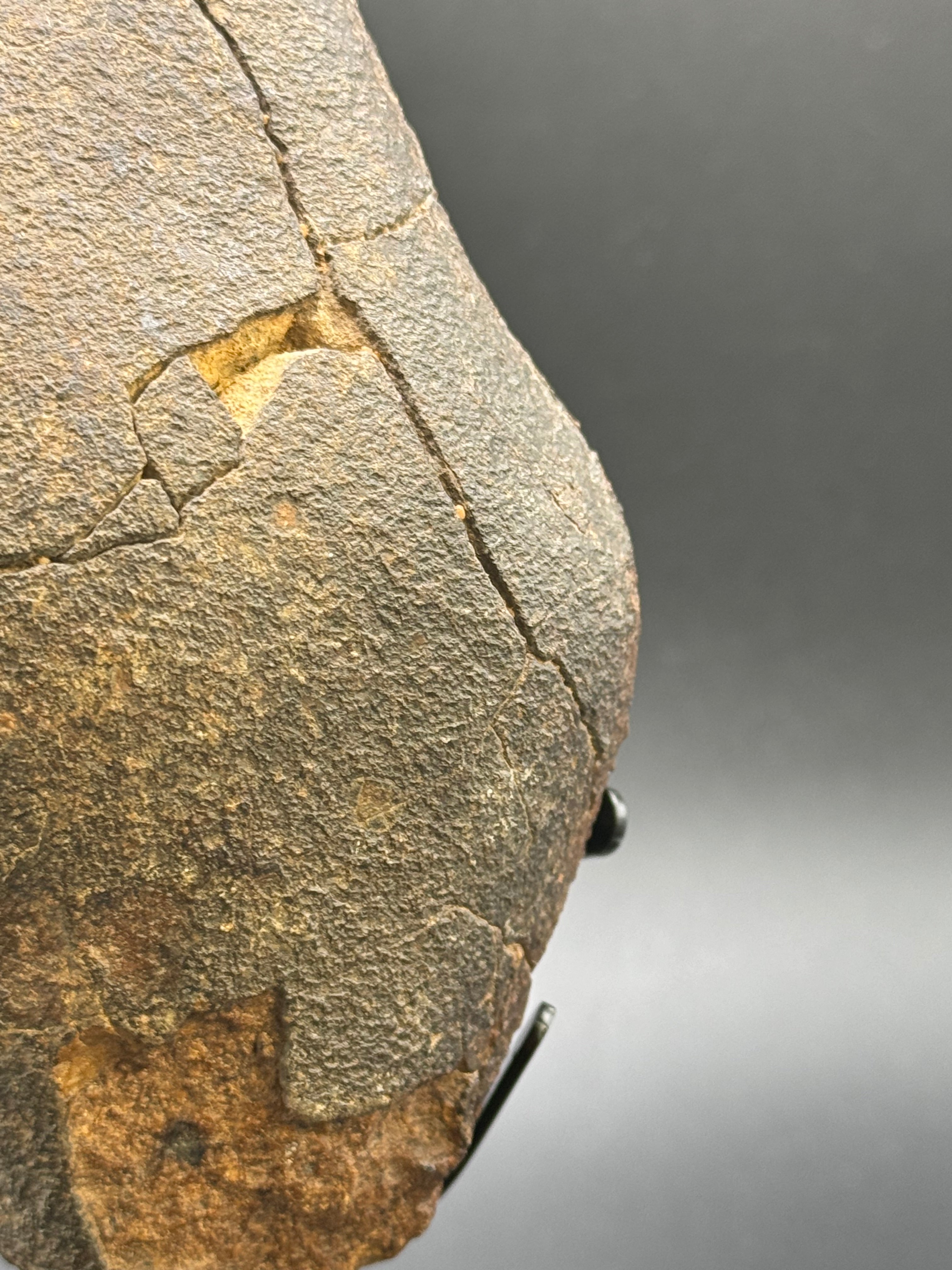 CHONDRITE METEORITE, NORTH WEST AFRICA. 421 GRAMS.