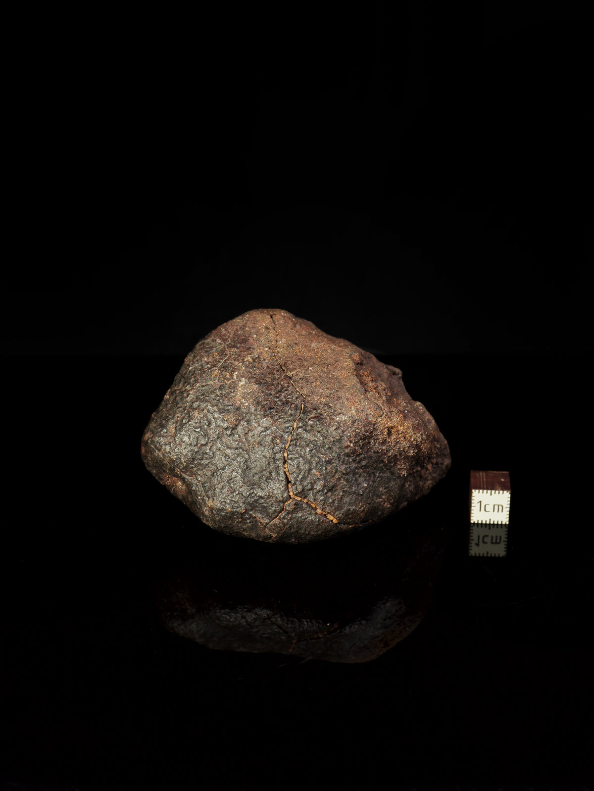 CHONDRITE METEORITE, NORTH WEST AFRICA. 352 GRAMS.